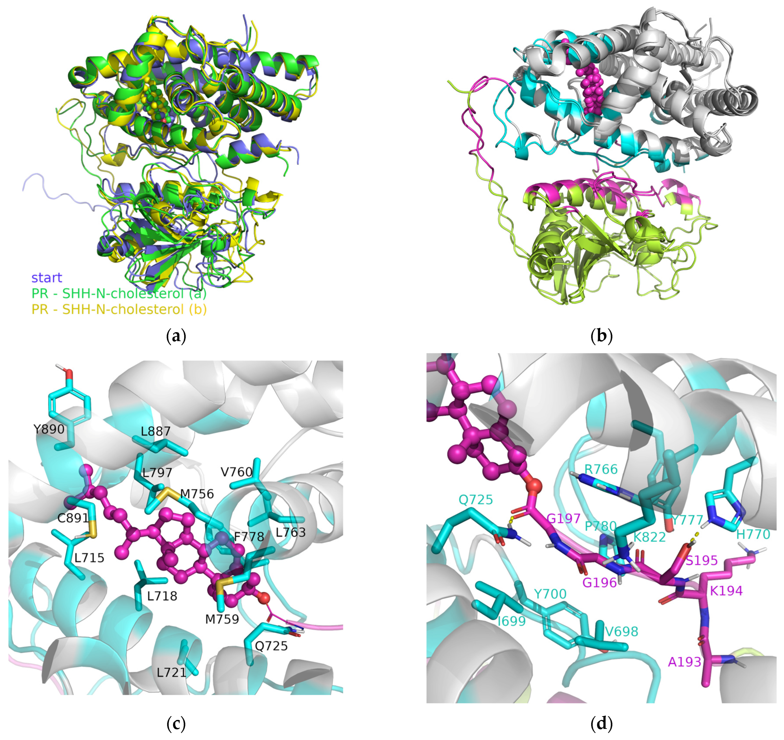 Applsci 14 00562 g005a