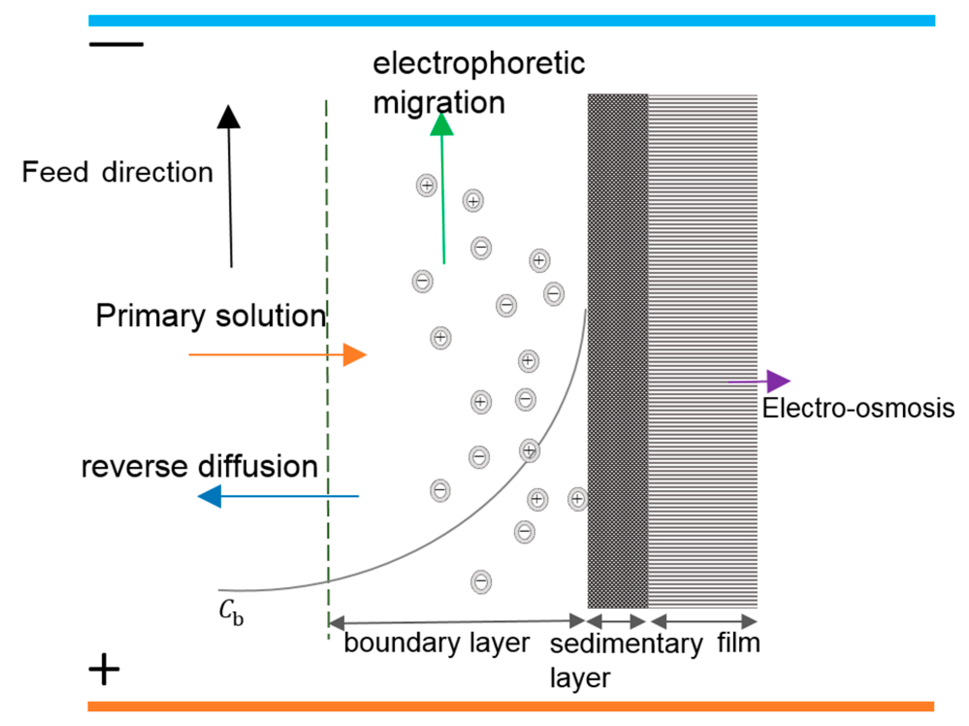 Applsci 14 00575 g003