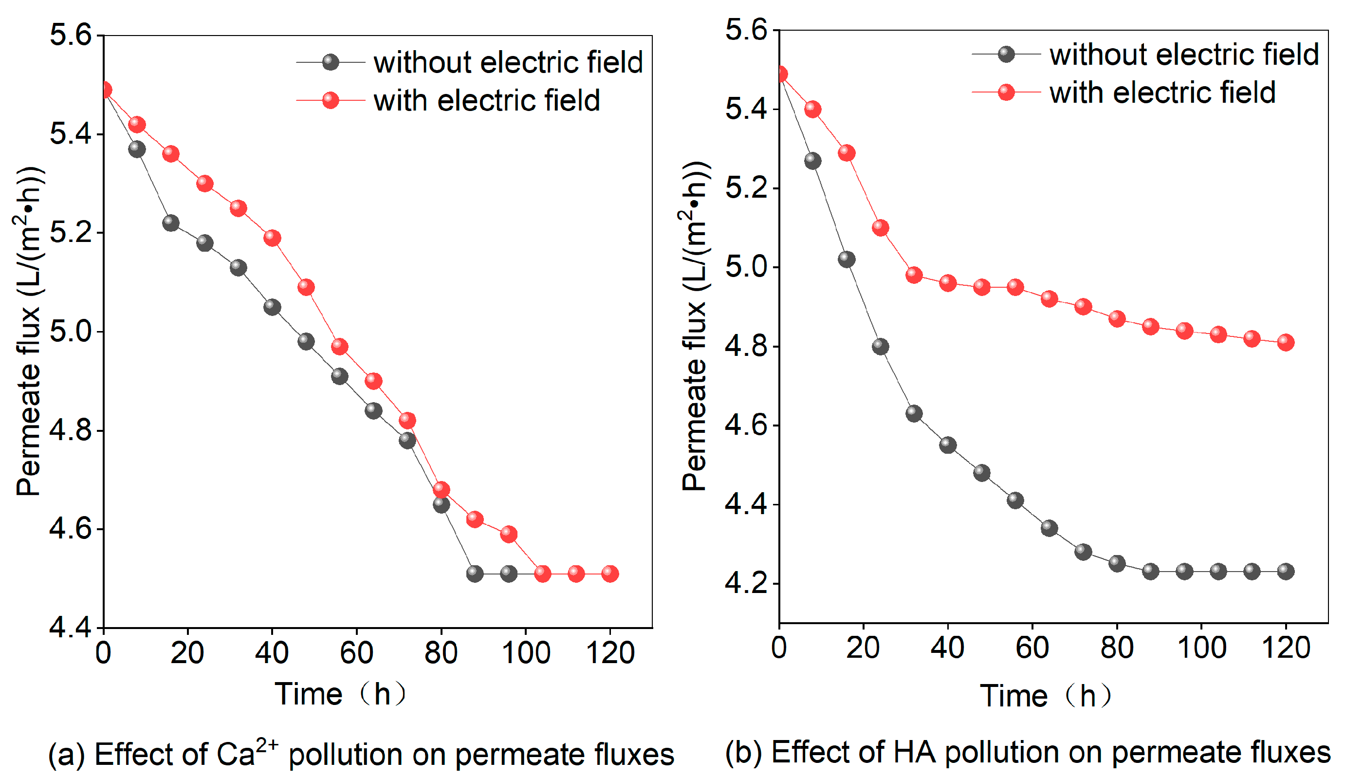 Applsci 14 00575 g006