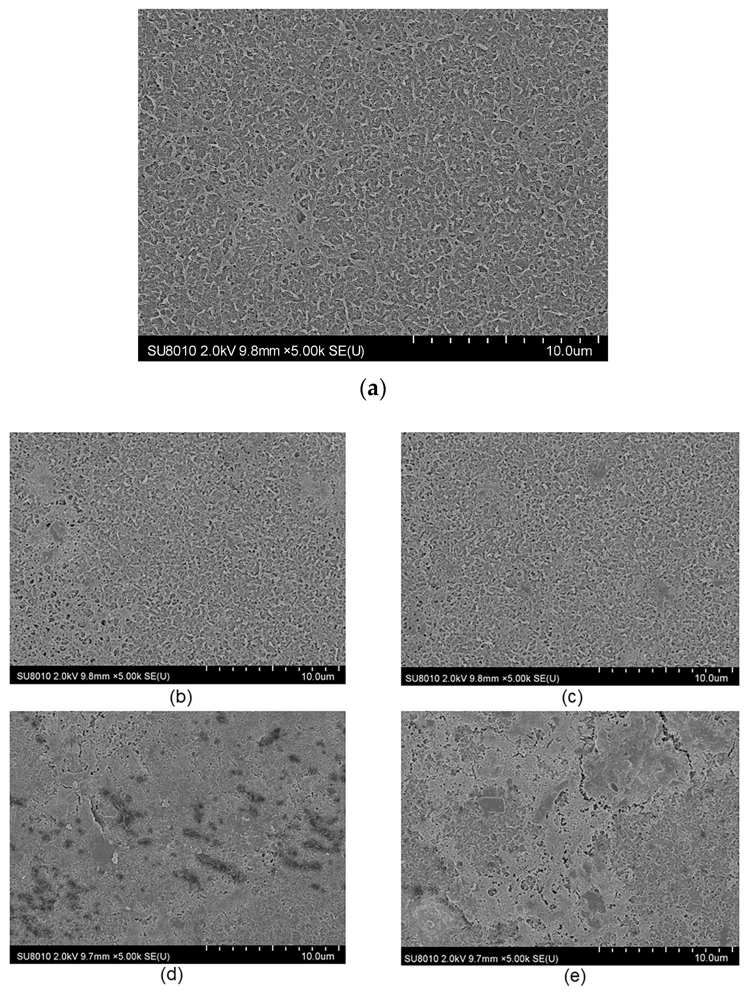 Applsci 14 00575 g008