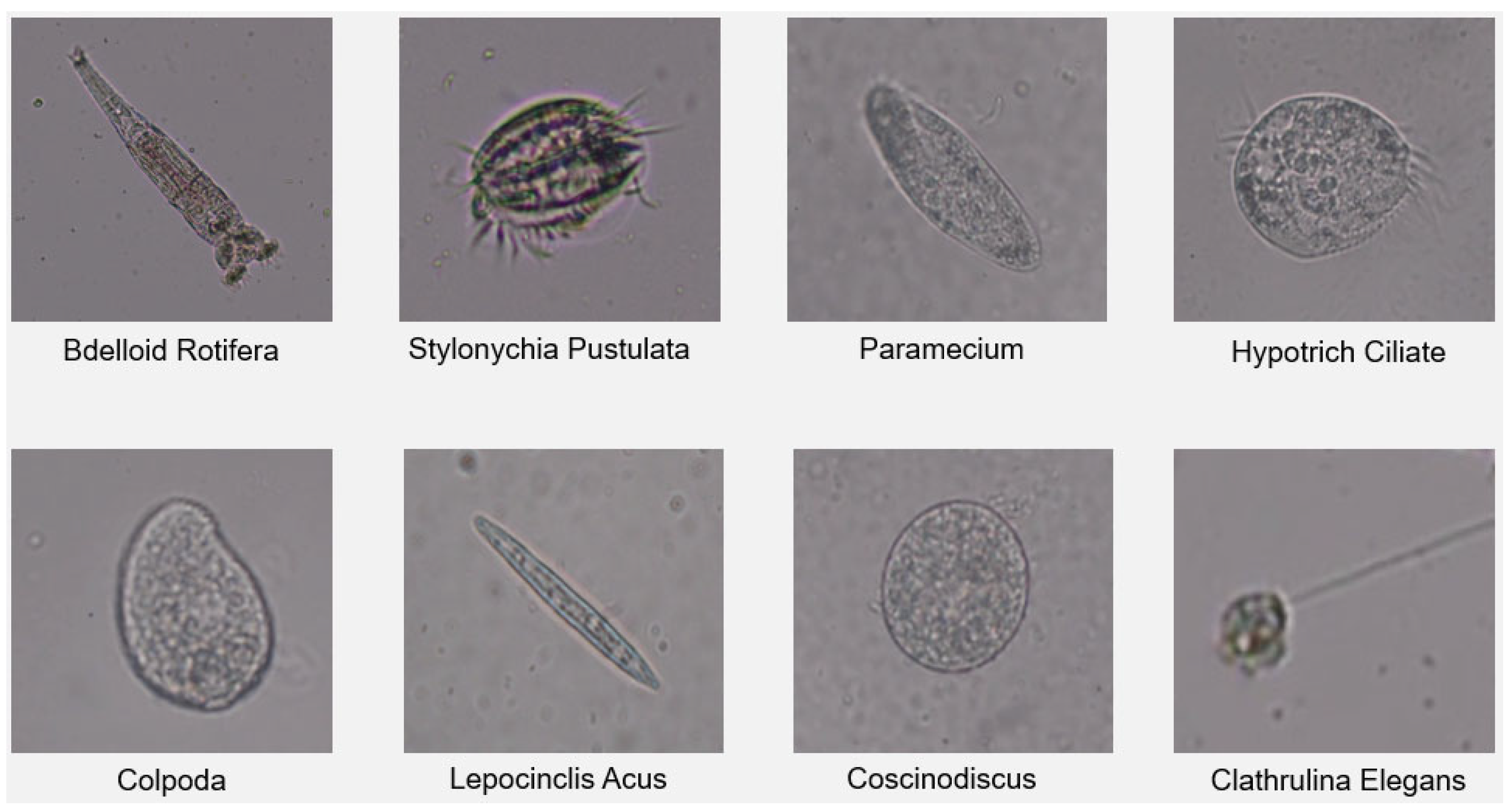 Applsci 14 00607 g004