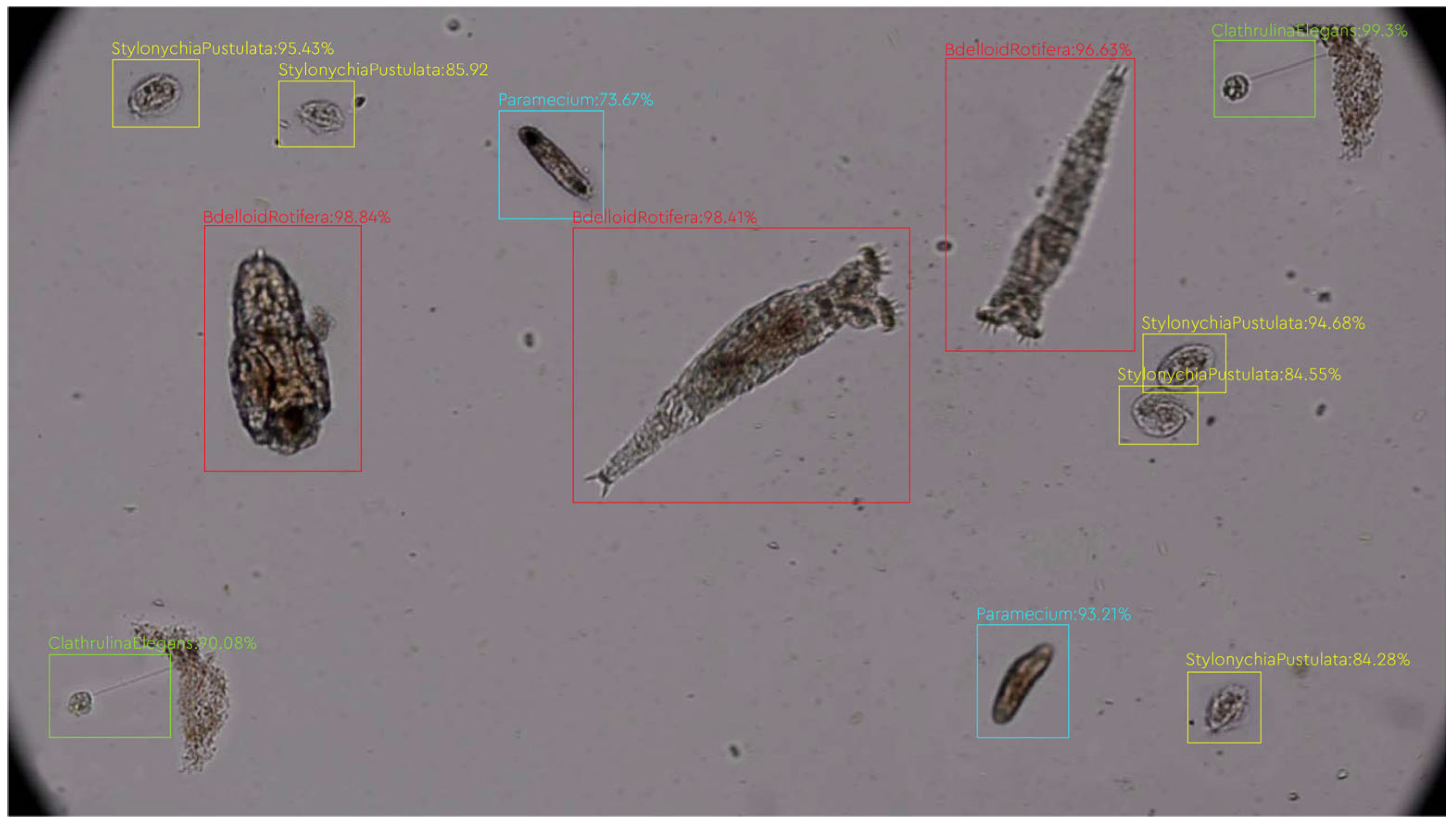 Applsci 14 00607 g006