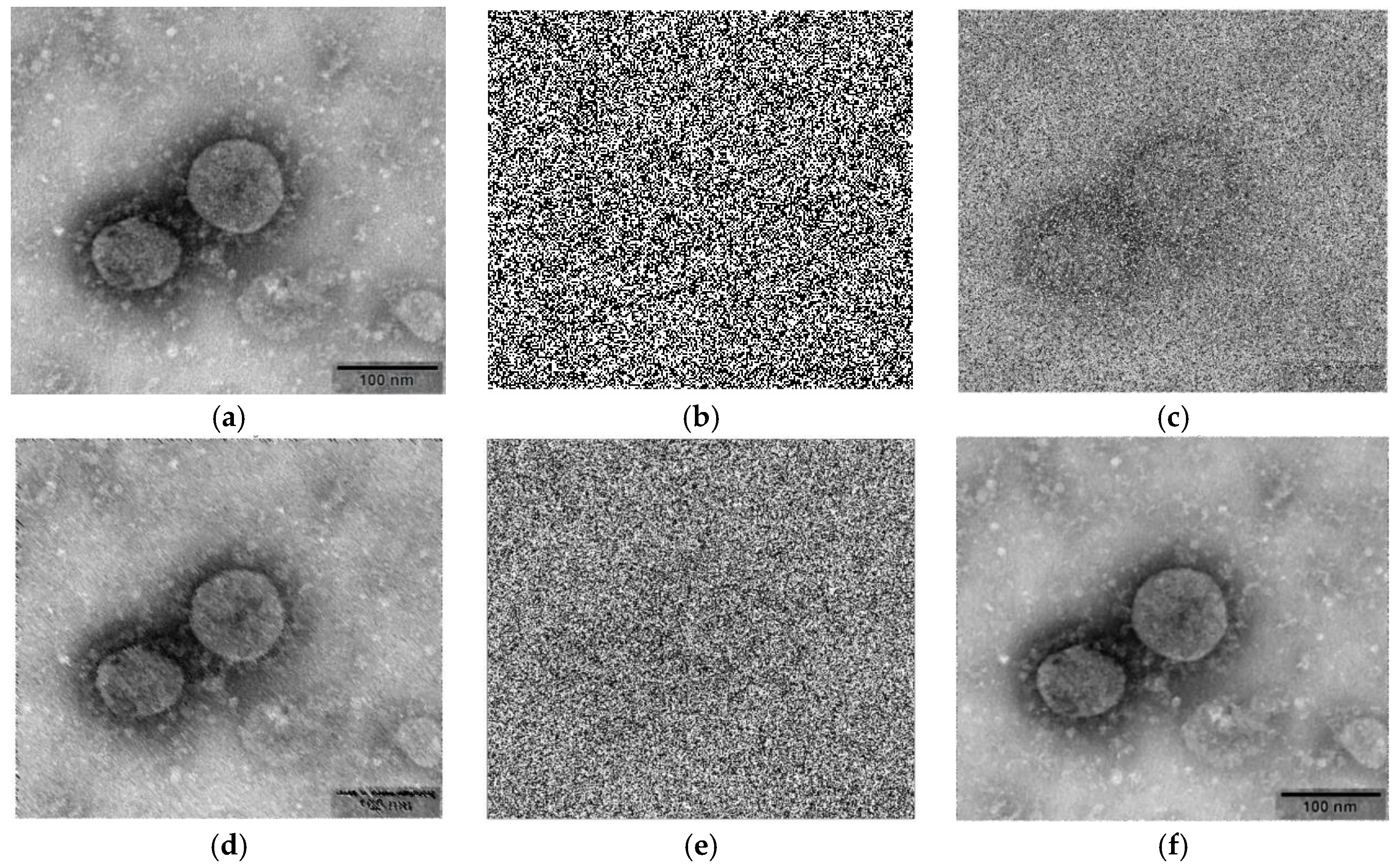 Applsci 14 00635 g005 Applsci 14 00635 g005