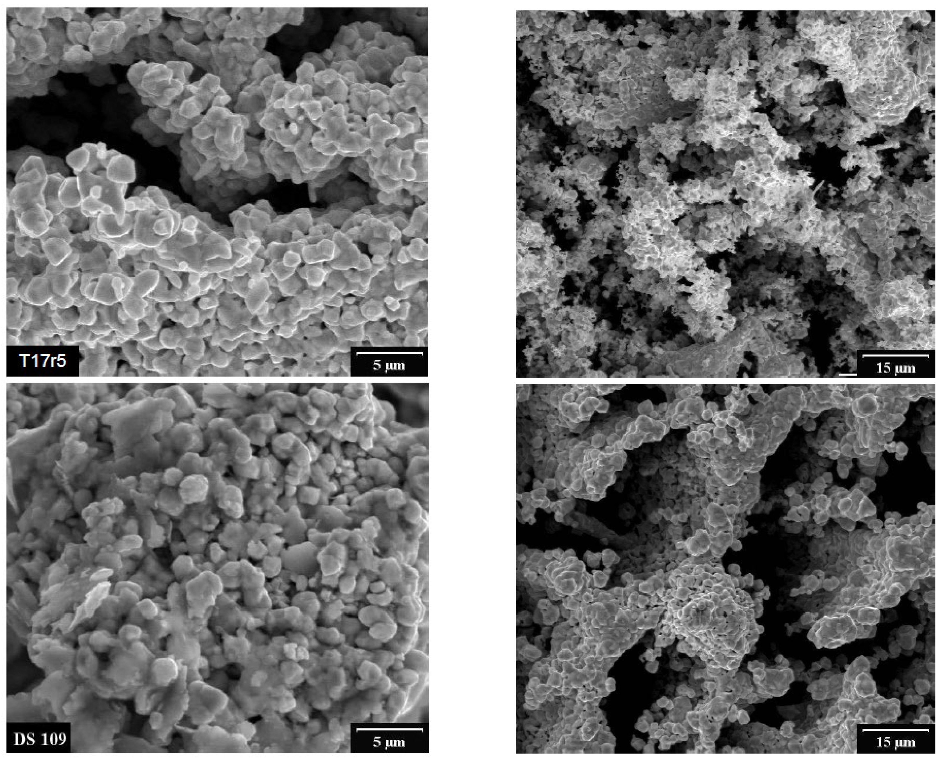 Applsci 14 00647 g010