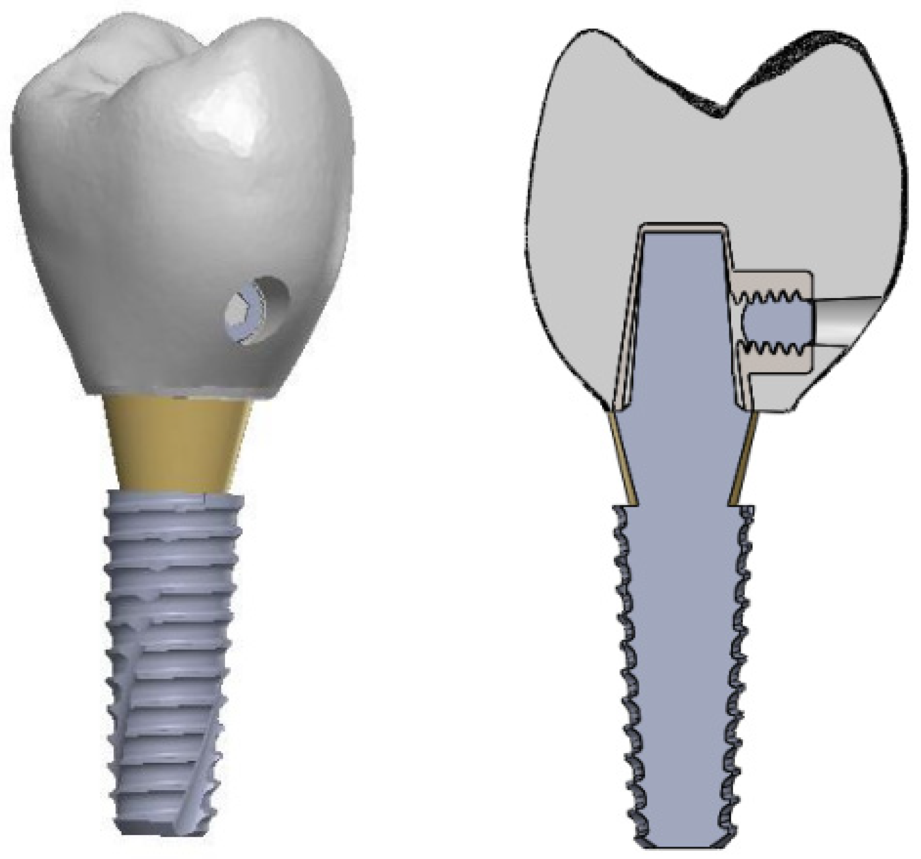 Applsci 14 00660 g001 Applsci 14 00660 g001