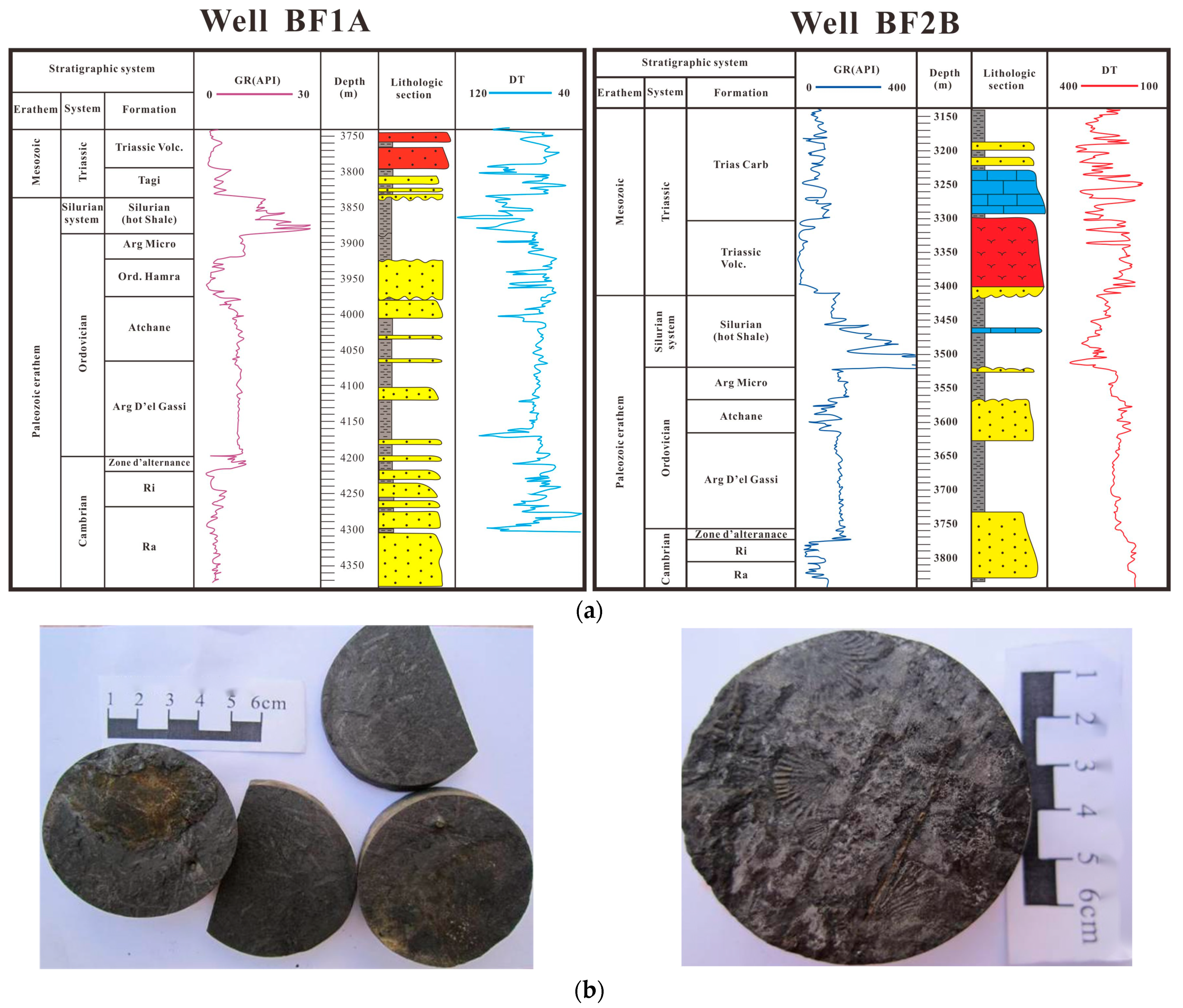 Applsci 14 00663 g008