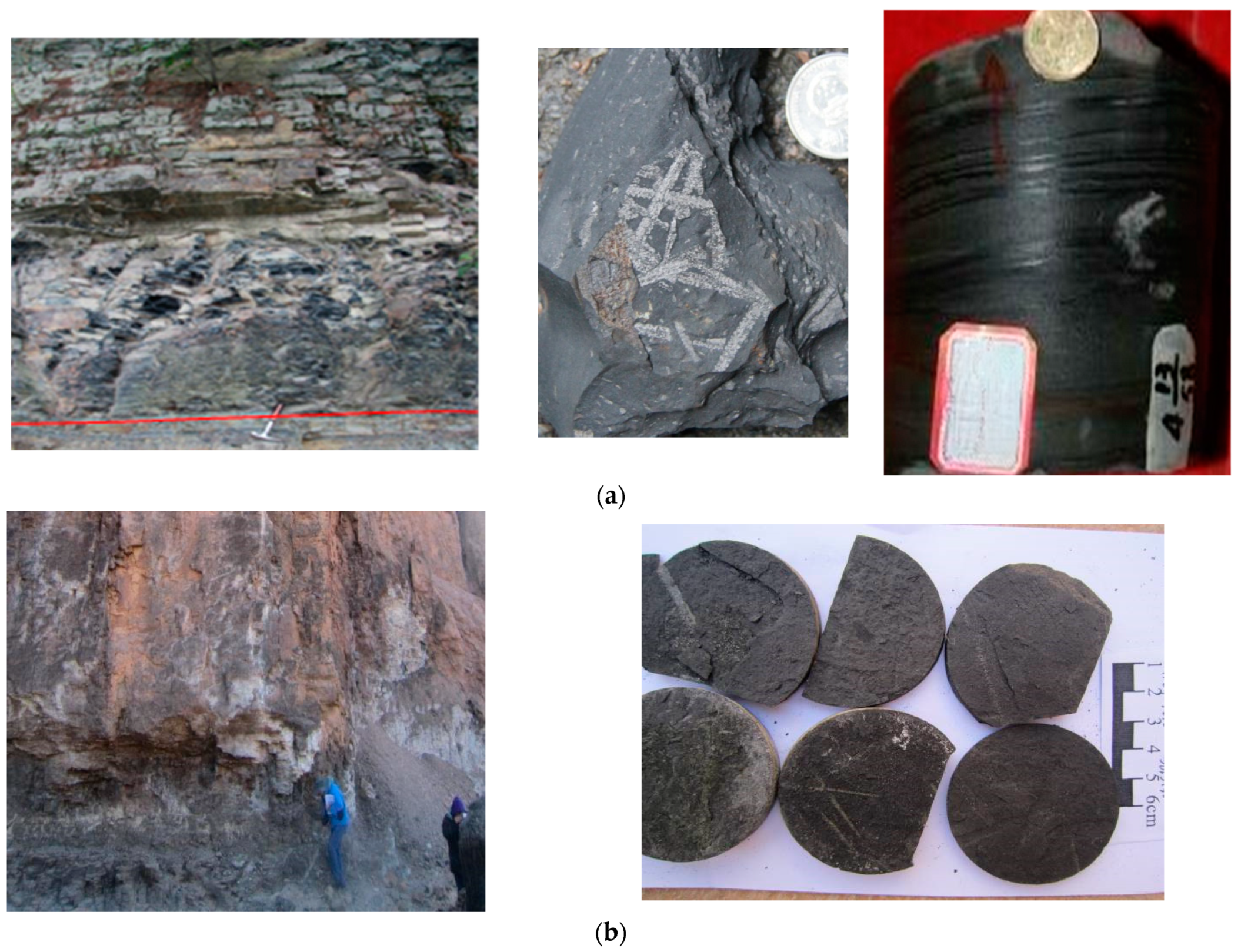 Applsci 14 00663 g010