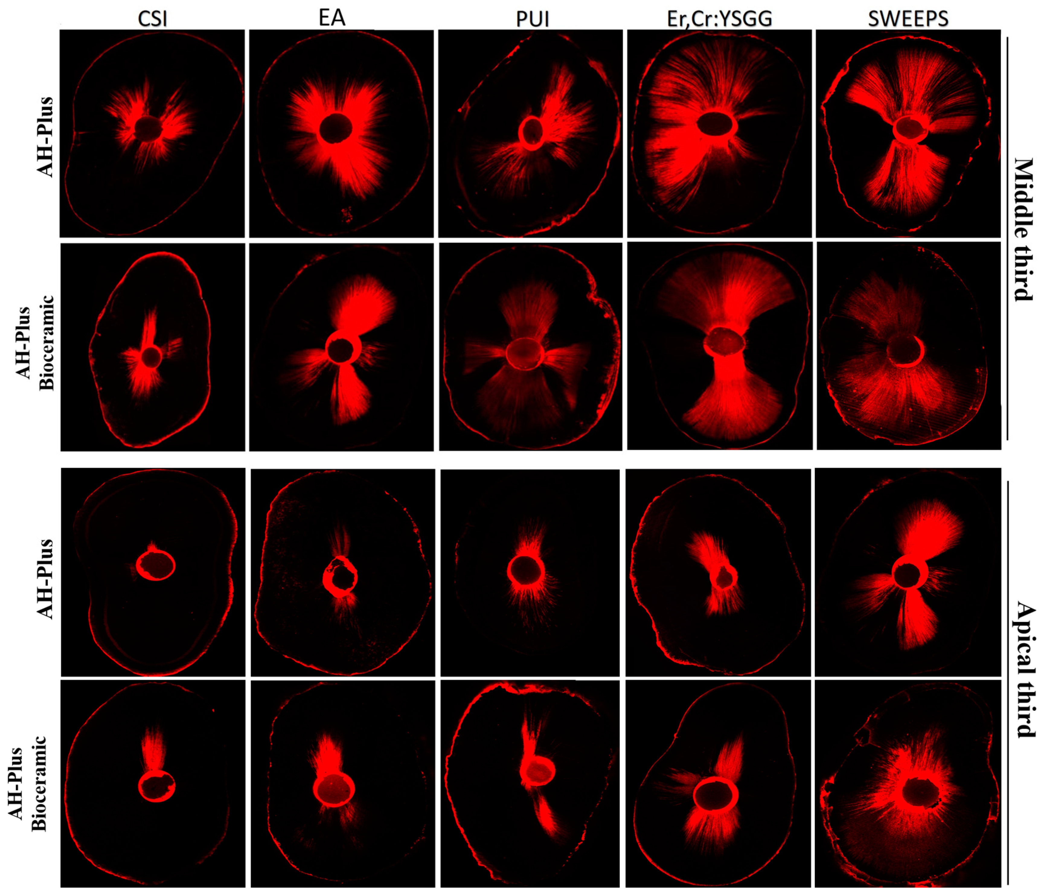 Applsci 14 00701 g001