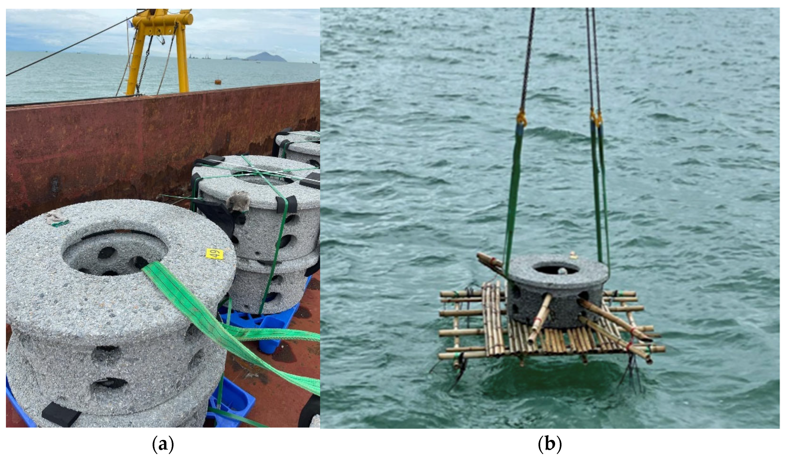 Applsci 14 00720 g002