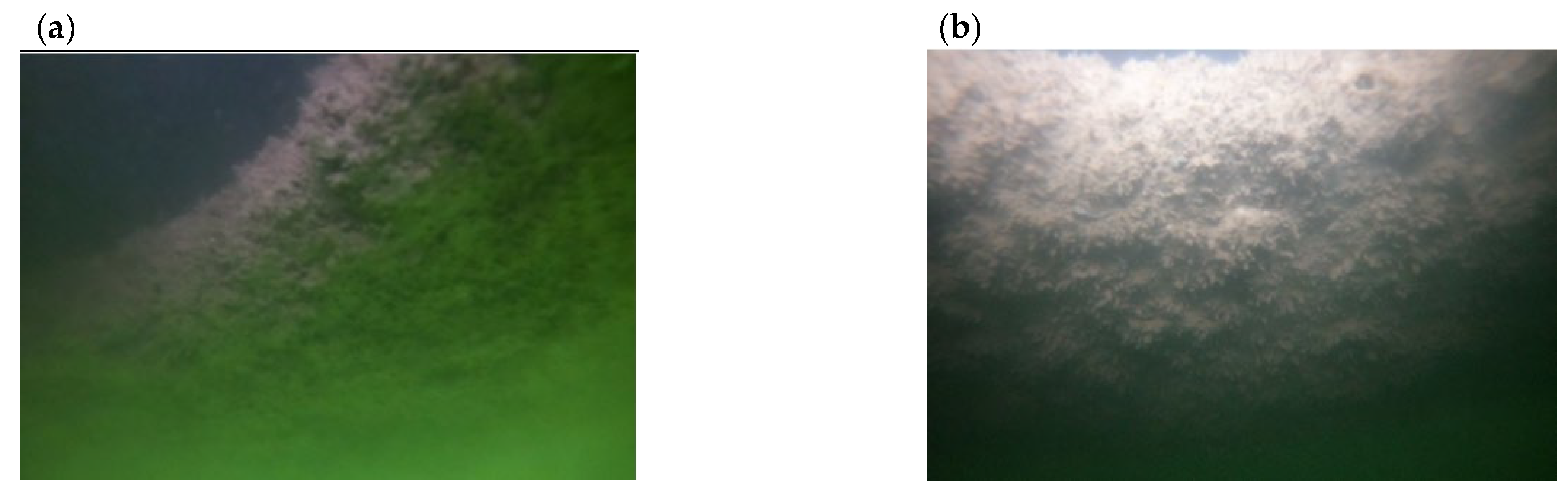 Applsci 14 00720 g005a