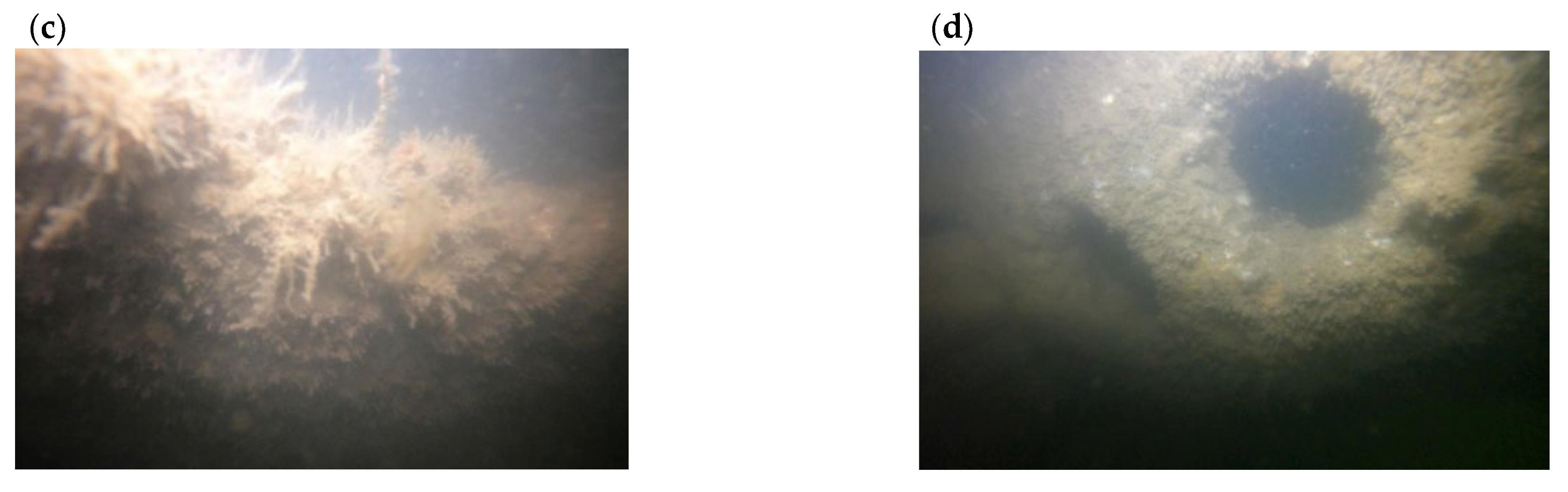 Applsci 14 00720 g005b