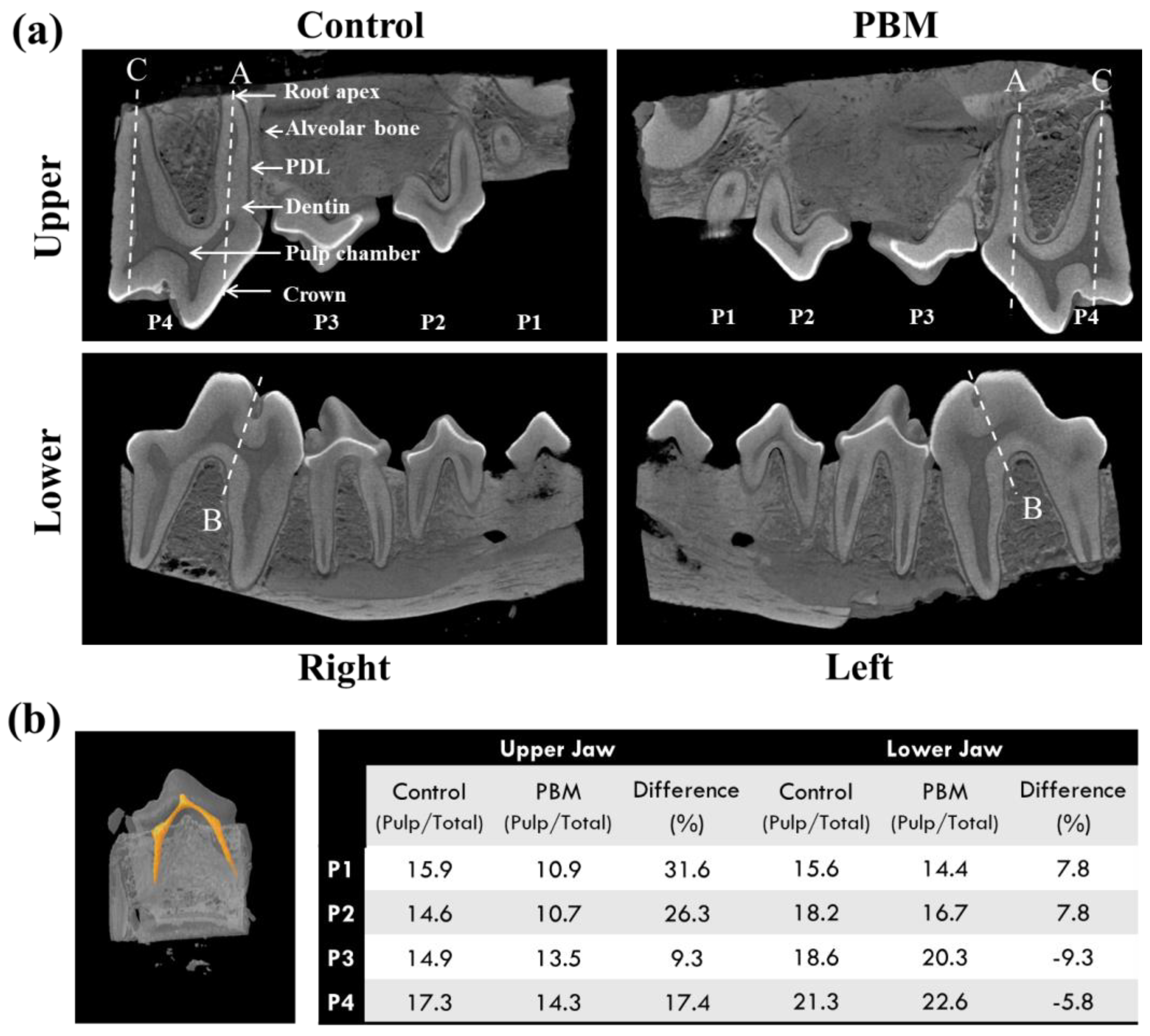 Applsci 14 00724 g002