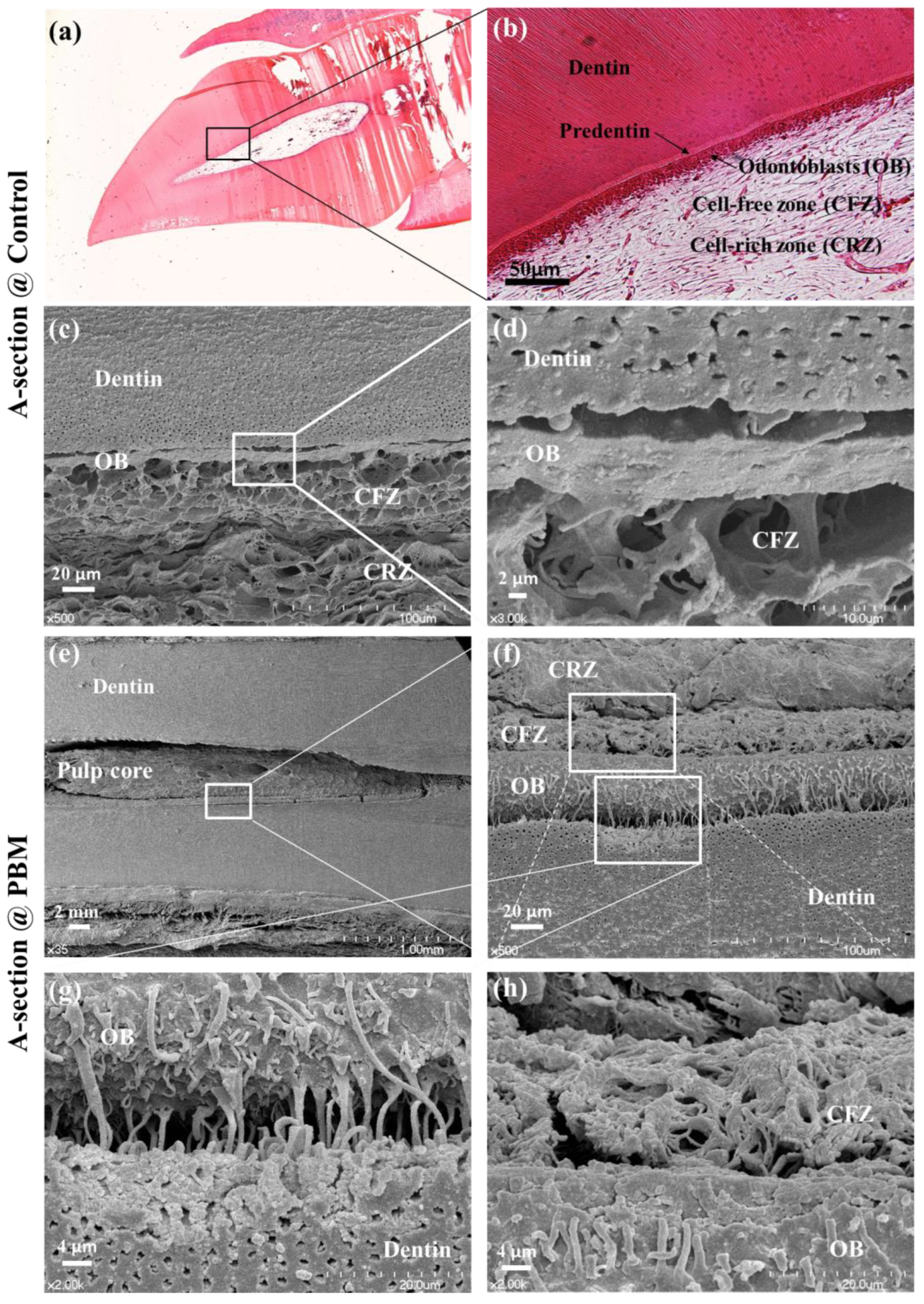 Applsci 14 00724 g003