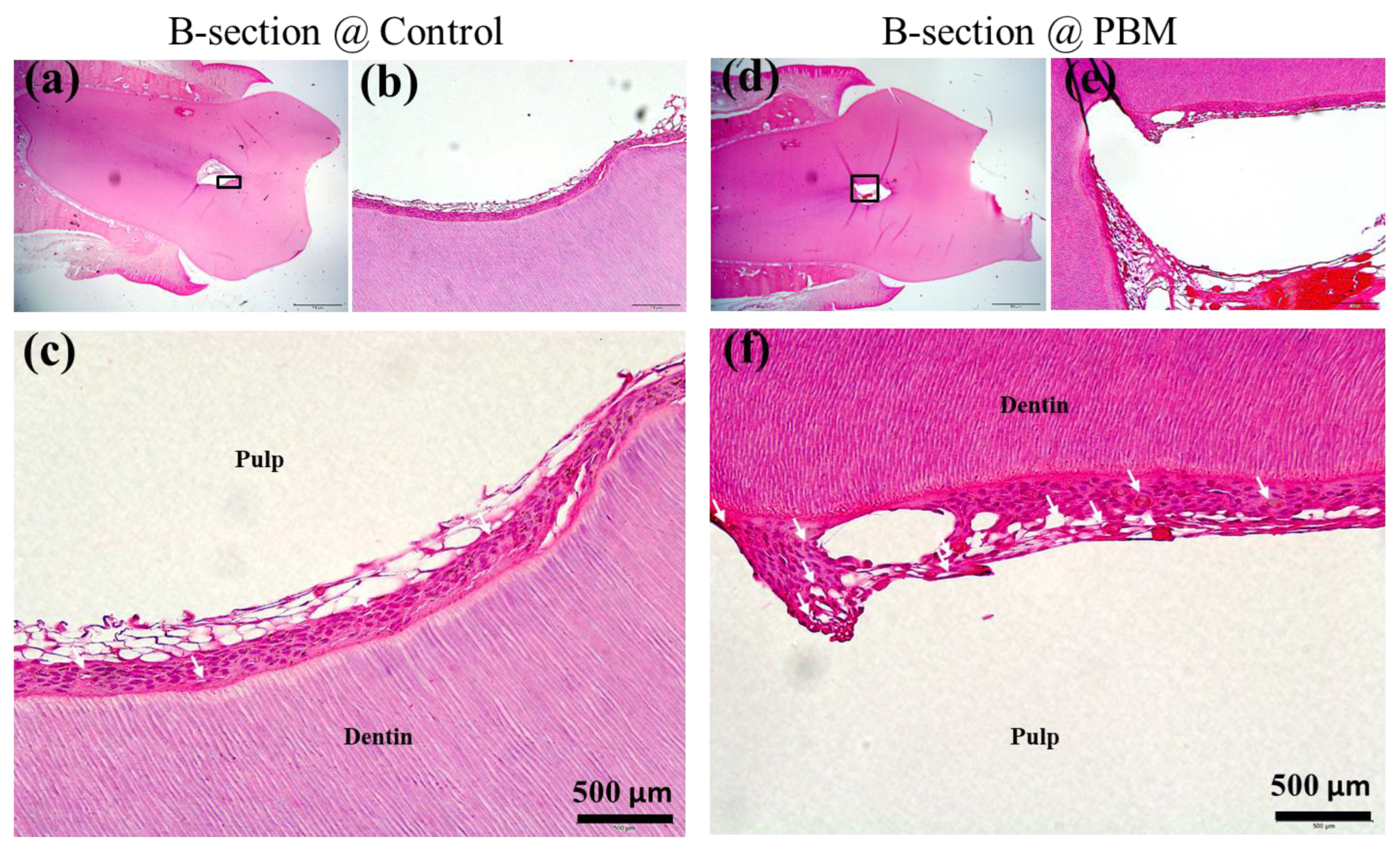 Applsci 14 00724 g004