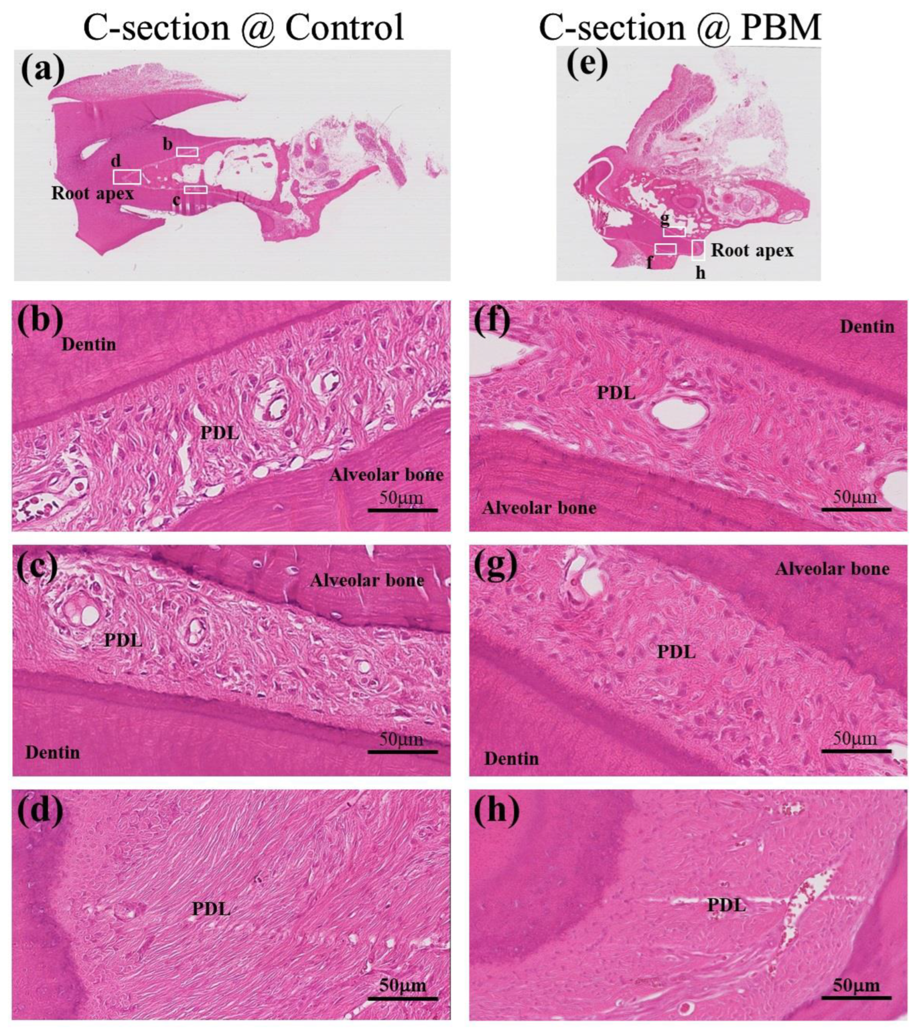 Applsci 14 00724 g005