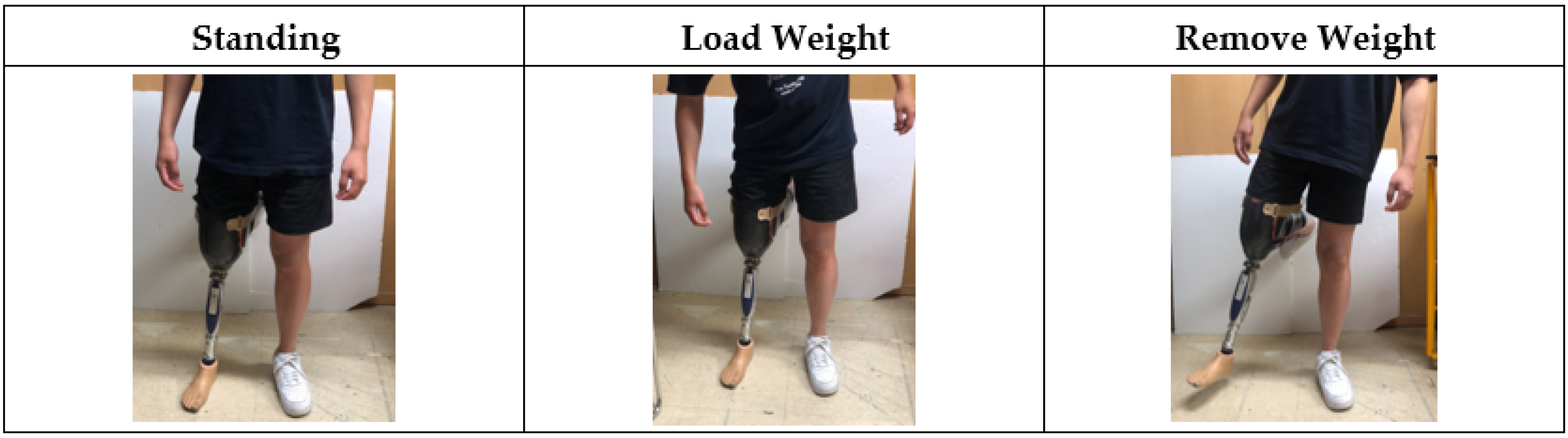 Applsci 14 00734 g012