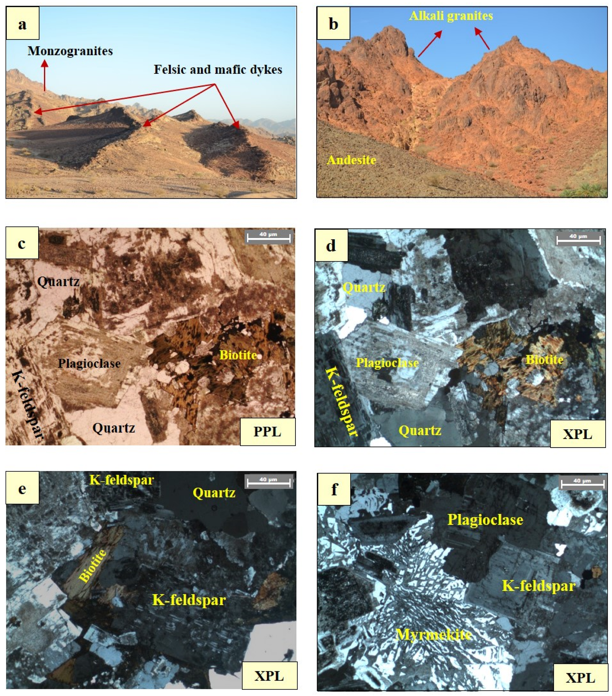 Applsci 14 00735 g003