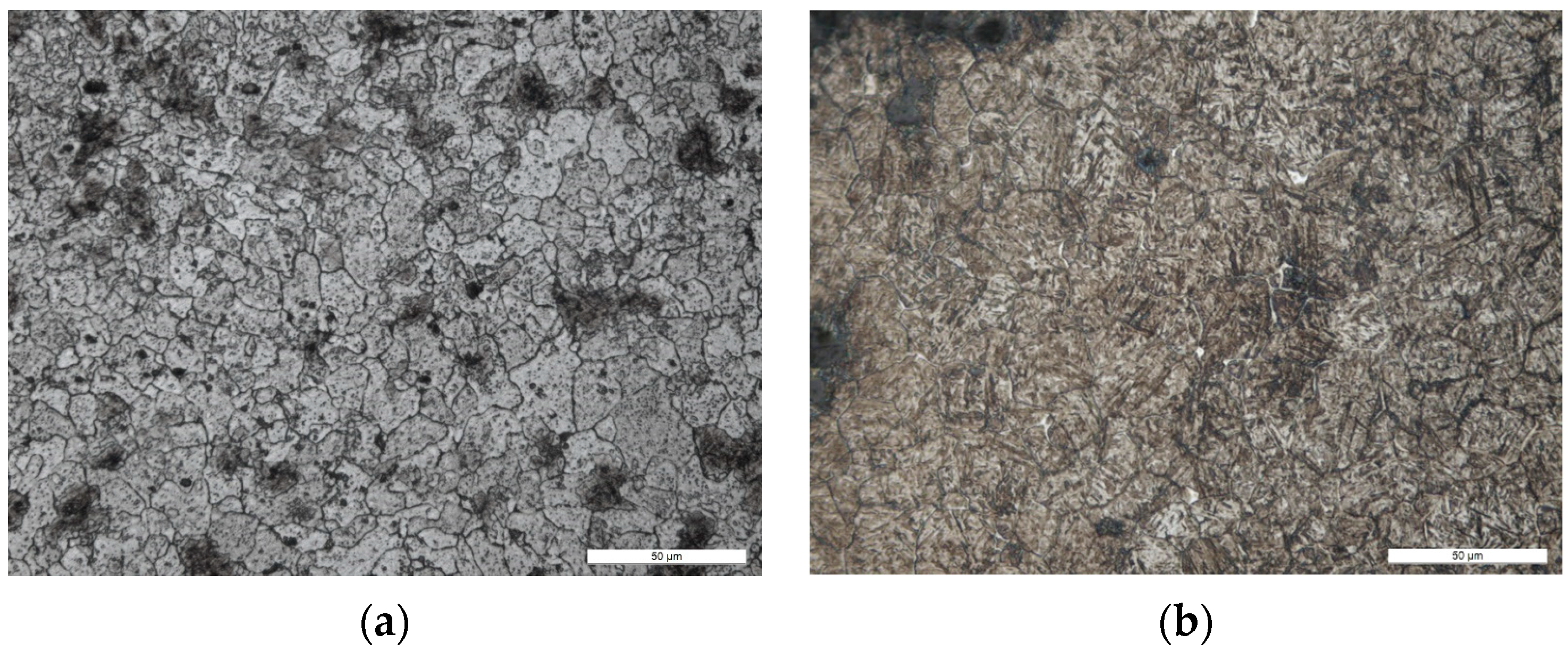 Applsci 14 00737 g011