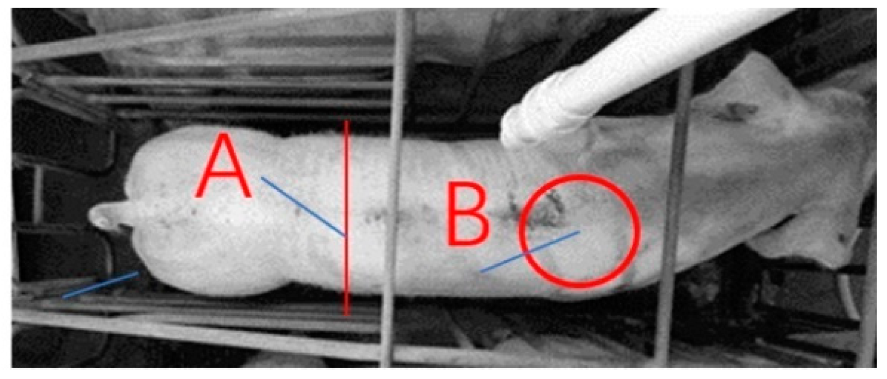 Applsci 14 00752 g005