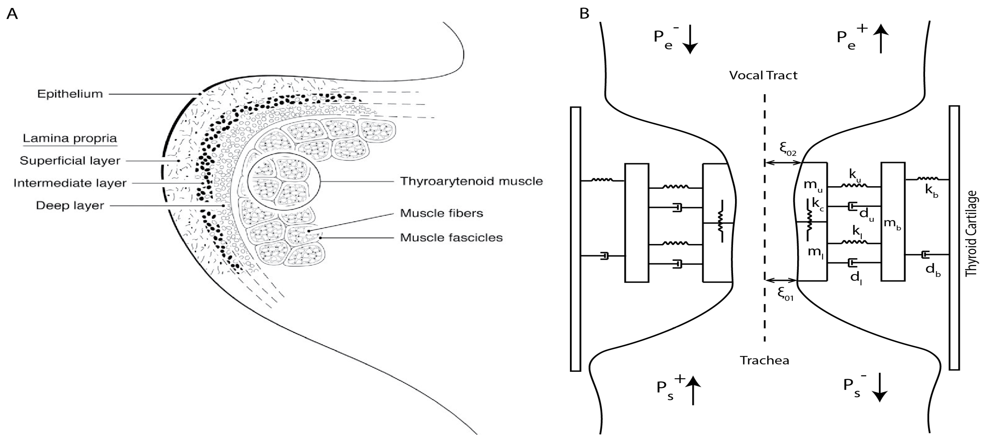 Applsci 14 00769 g002