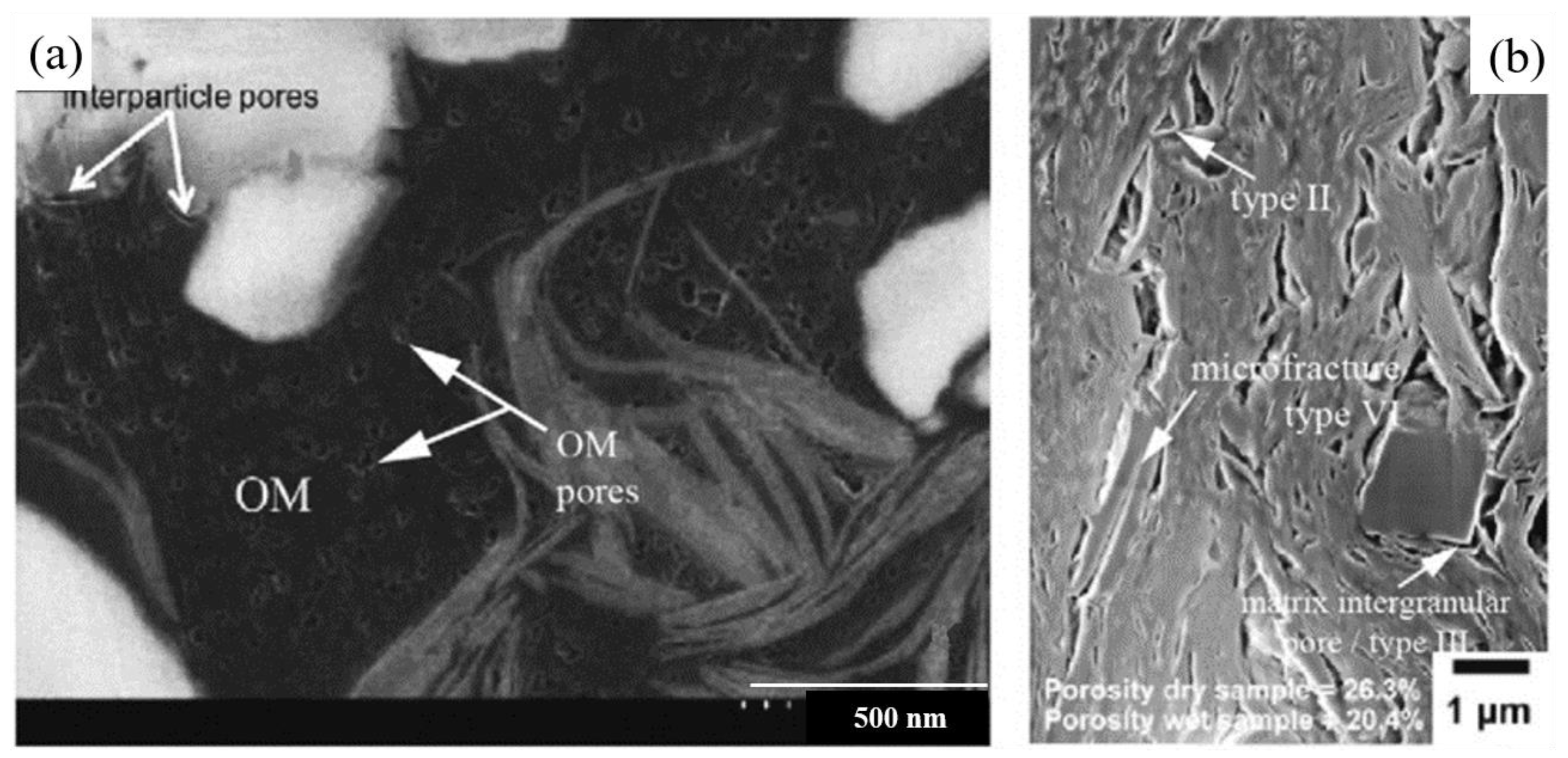 Research Progress on the Microfracture of Shale