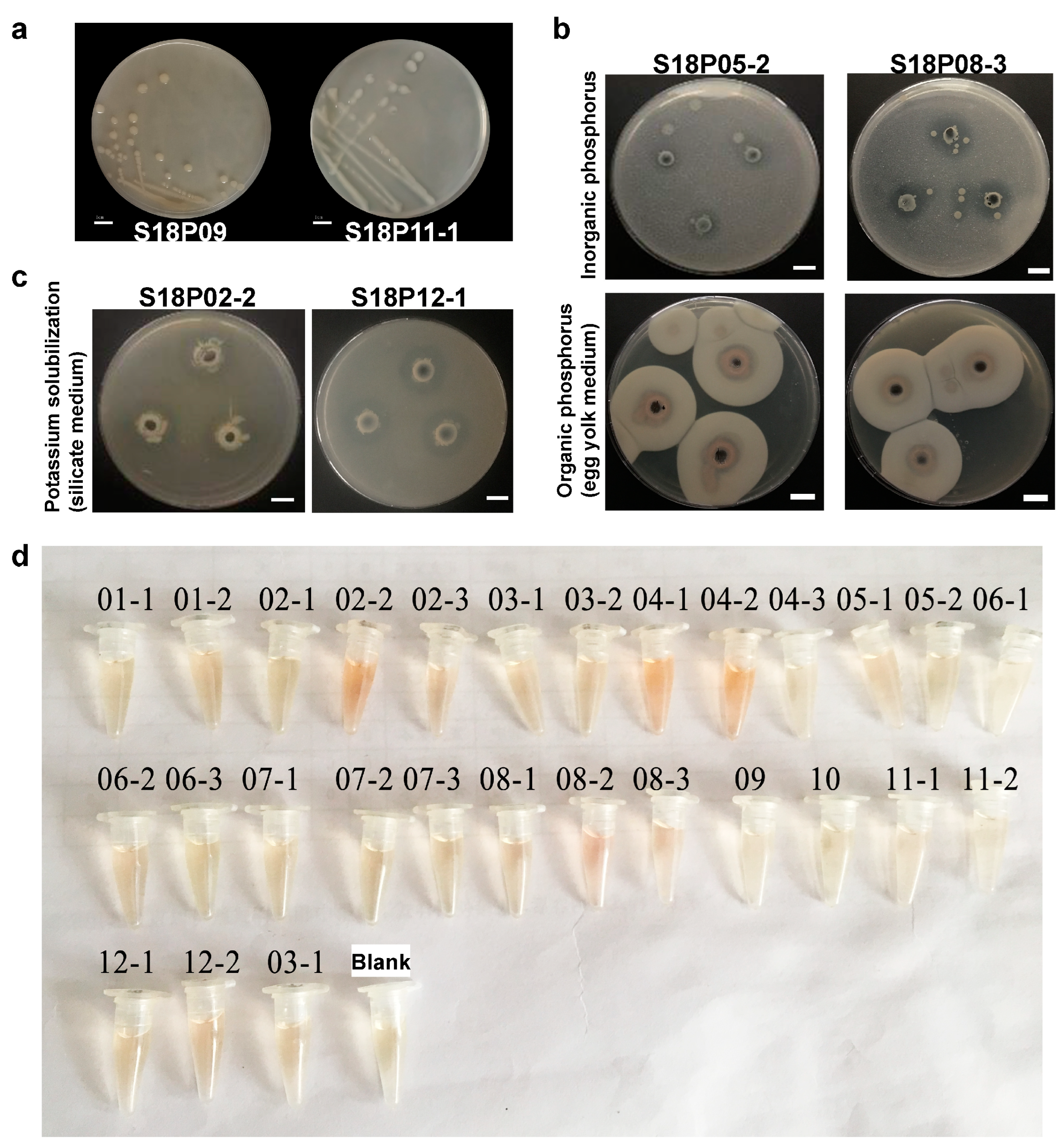 Applsci 14 00788 g001