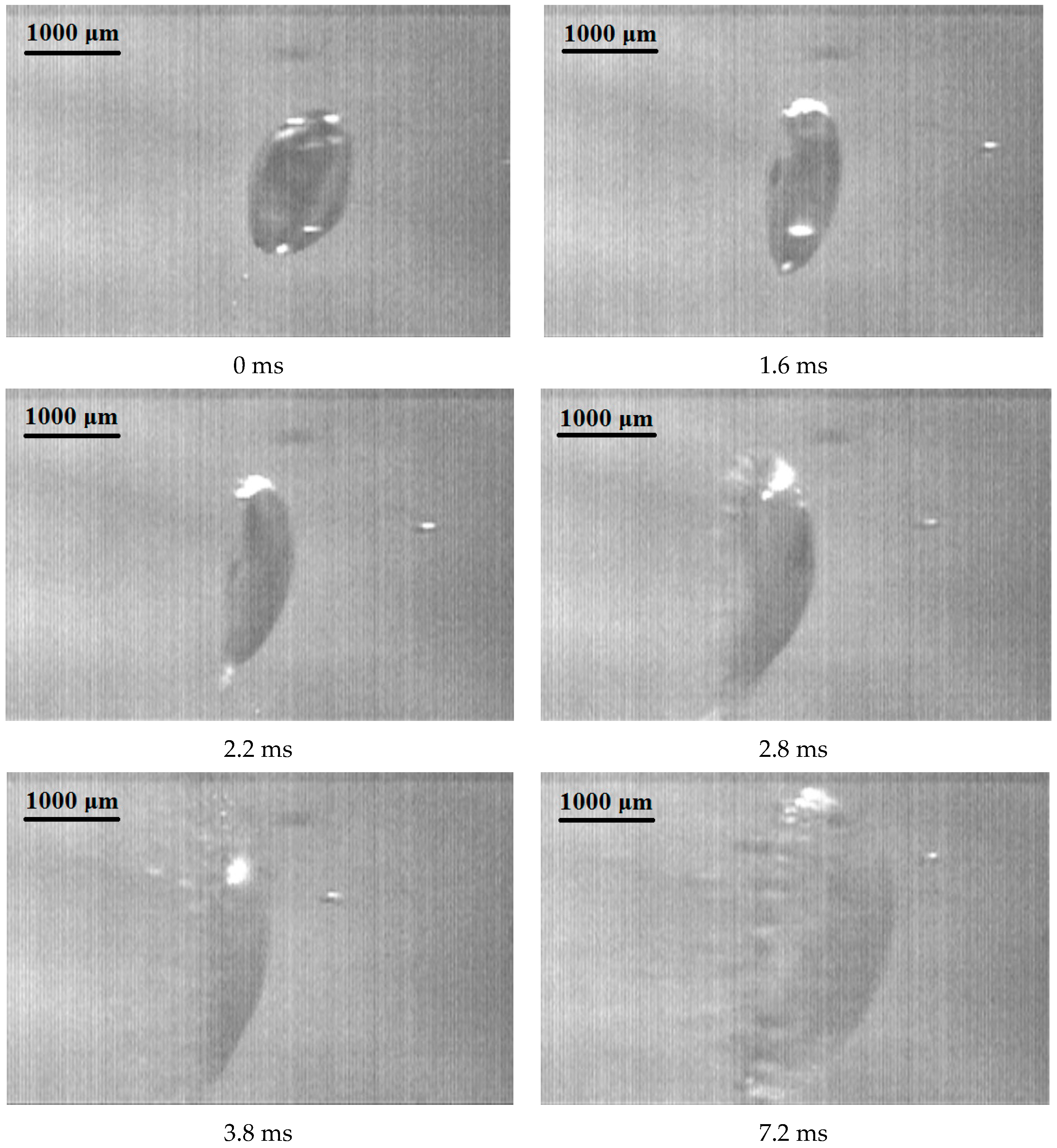 Applsci 14 00796 g005a