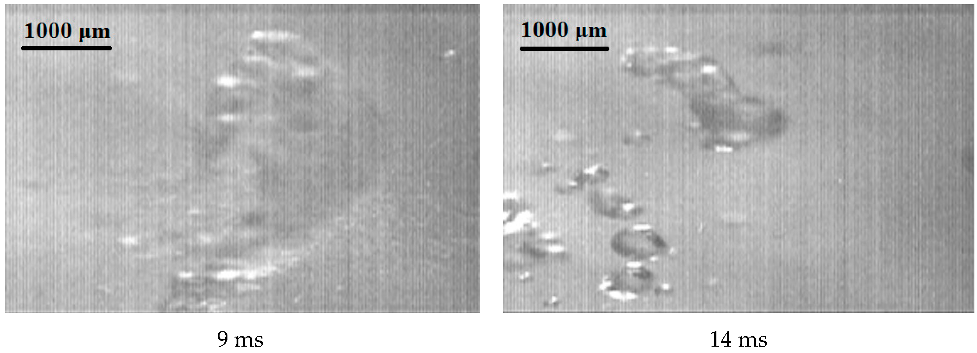 Applsci 14 00796 g005b