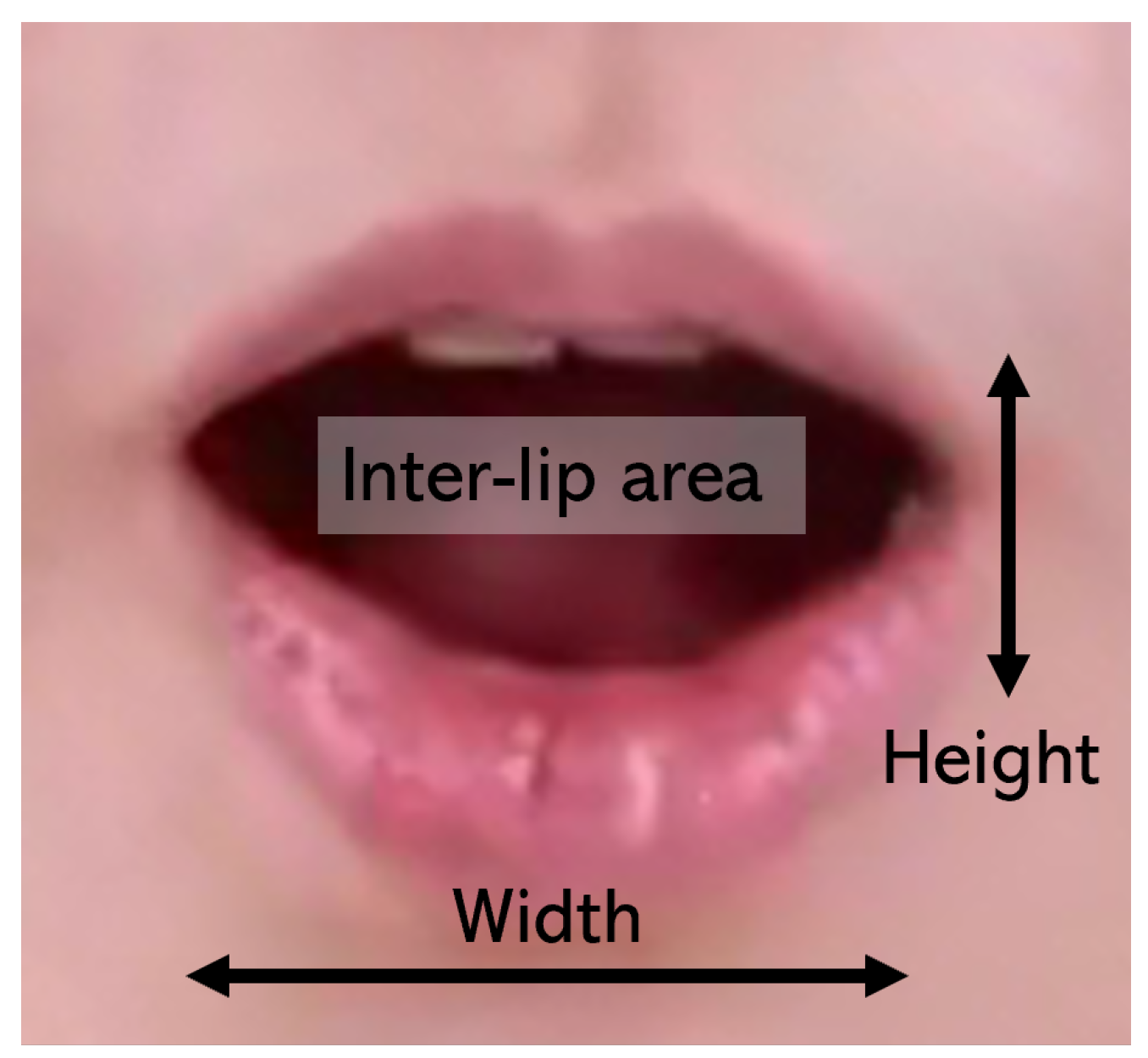 Applsci 14 00798 g011