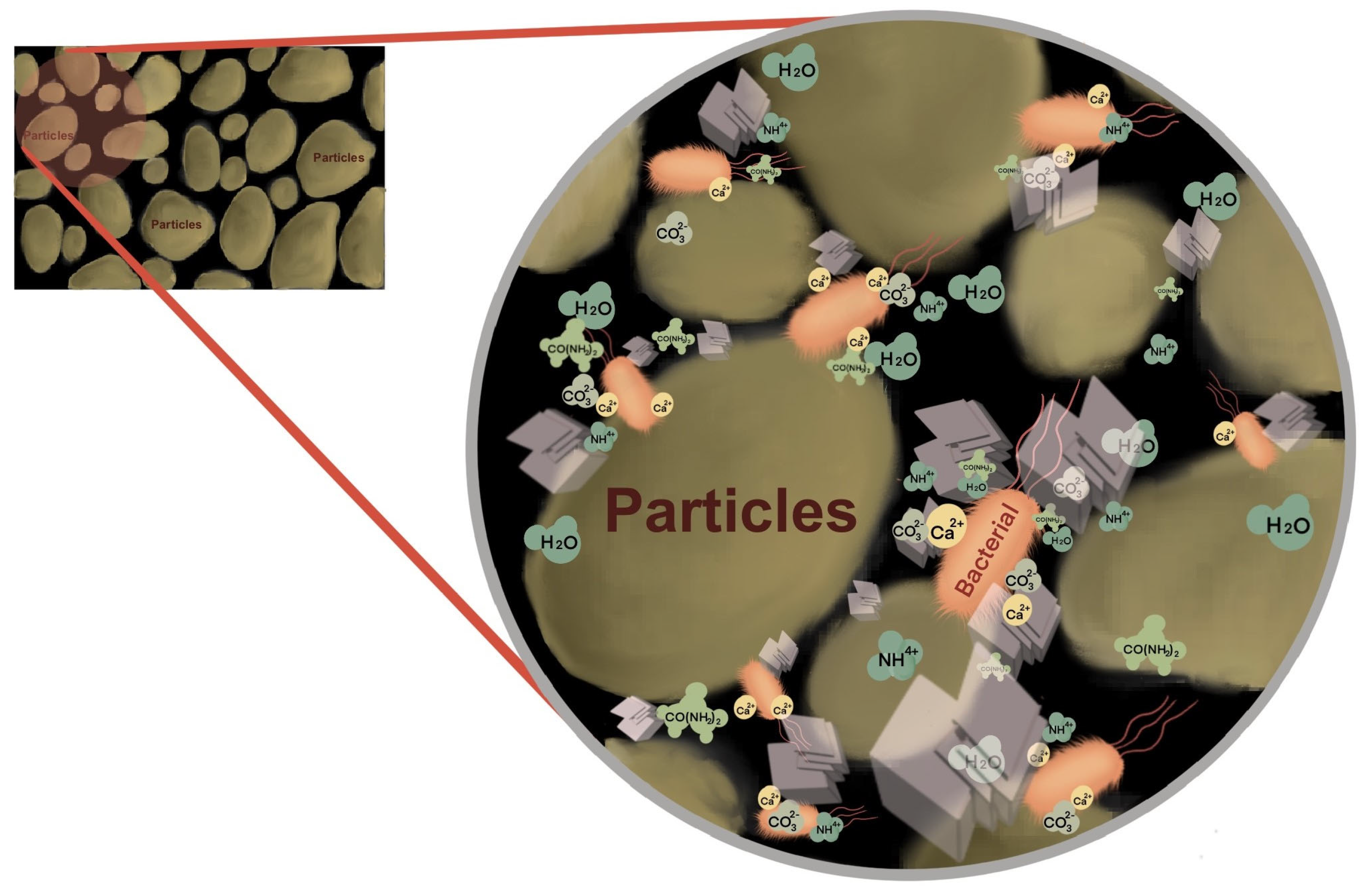 Applsci 14 00799 g001