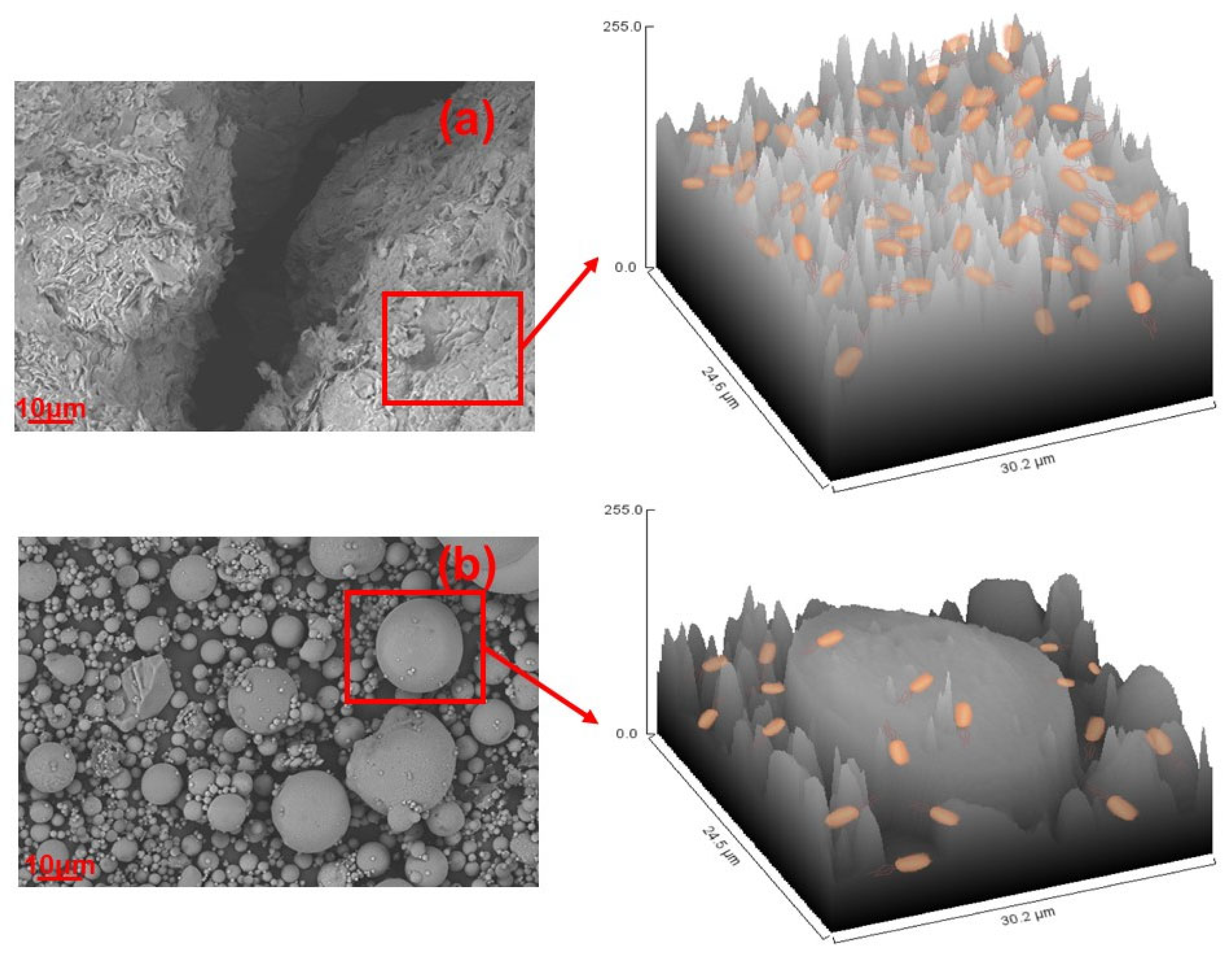 Applsci 14 00799 g009