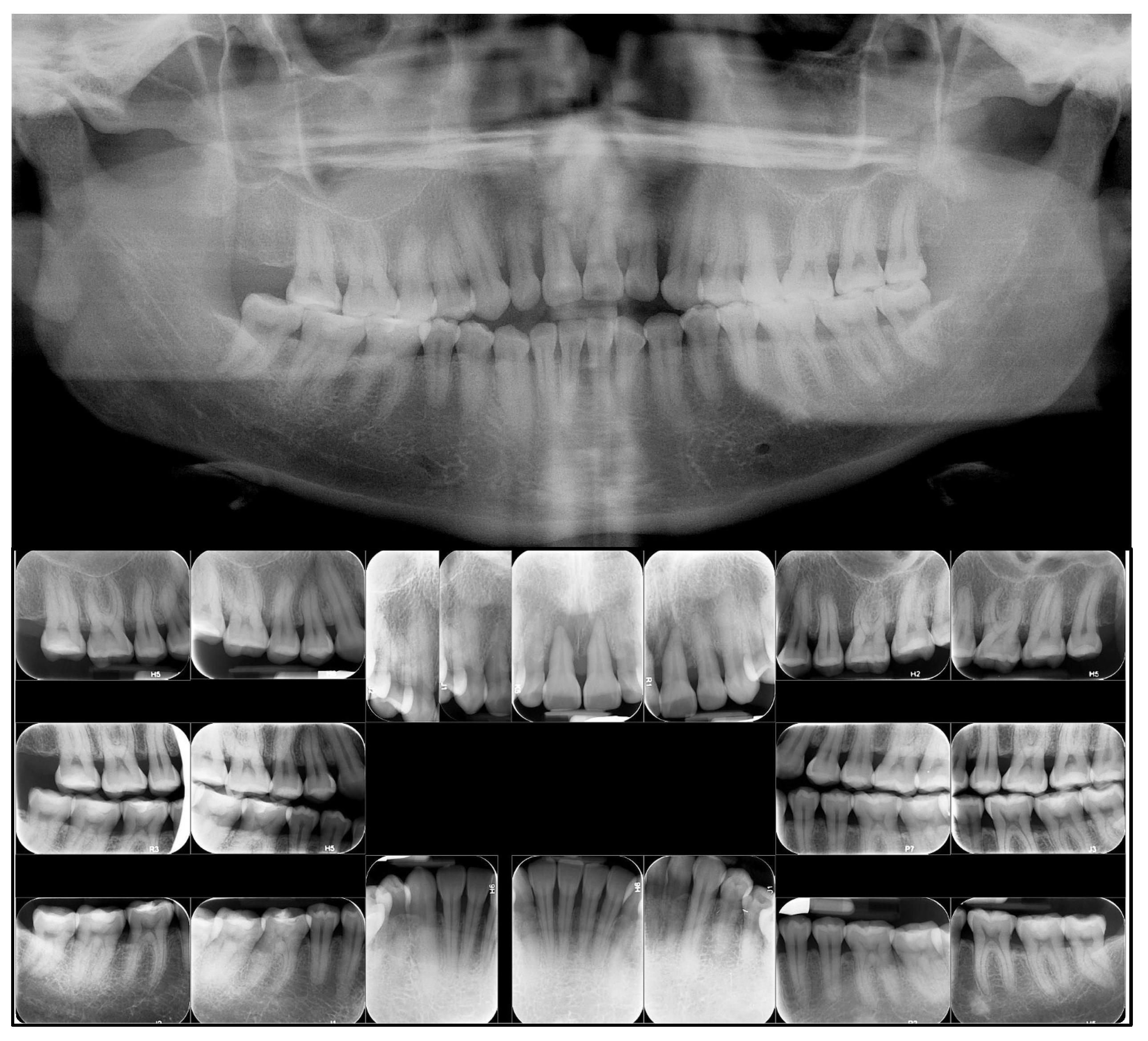 Applsci 14 00811 g002