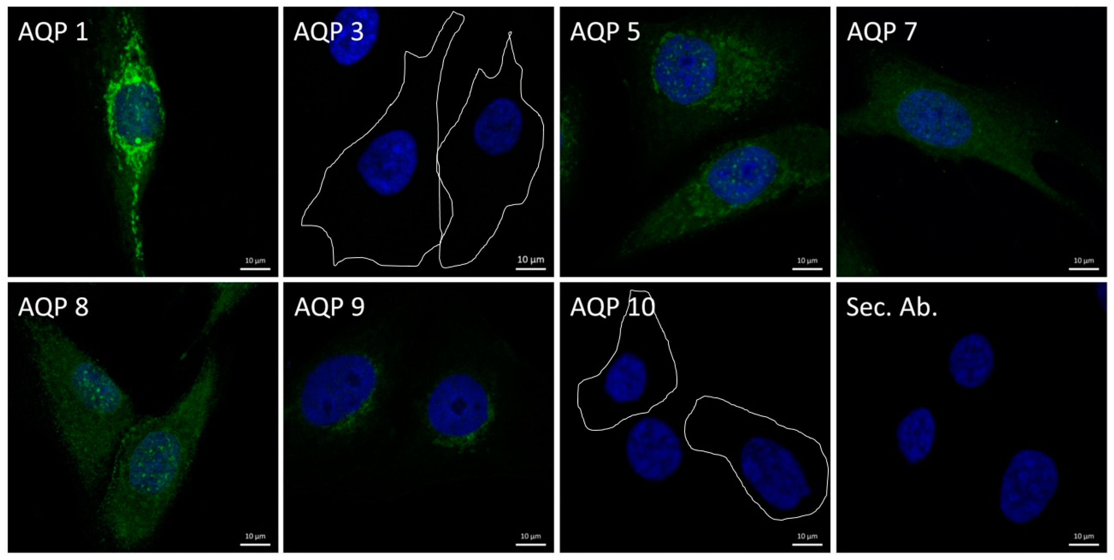 Applsci 14 00812 g001