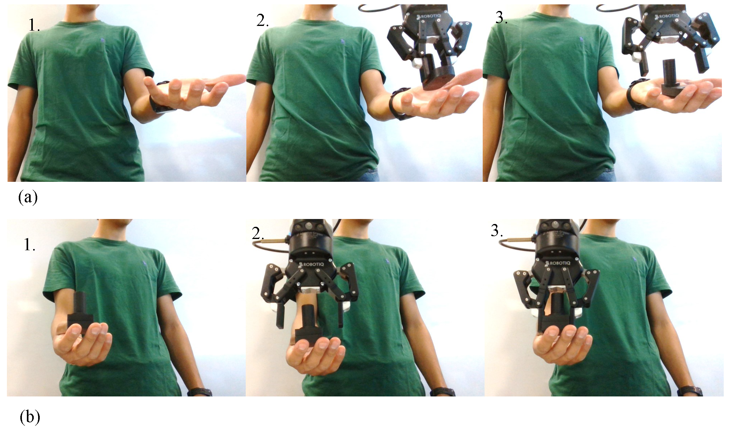 Applsci 14 00839 g008