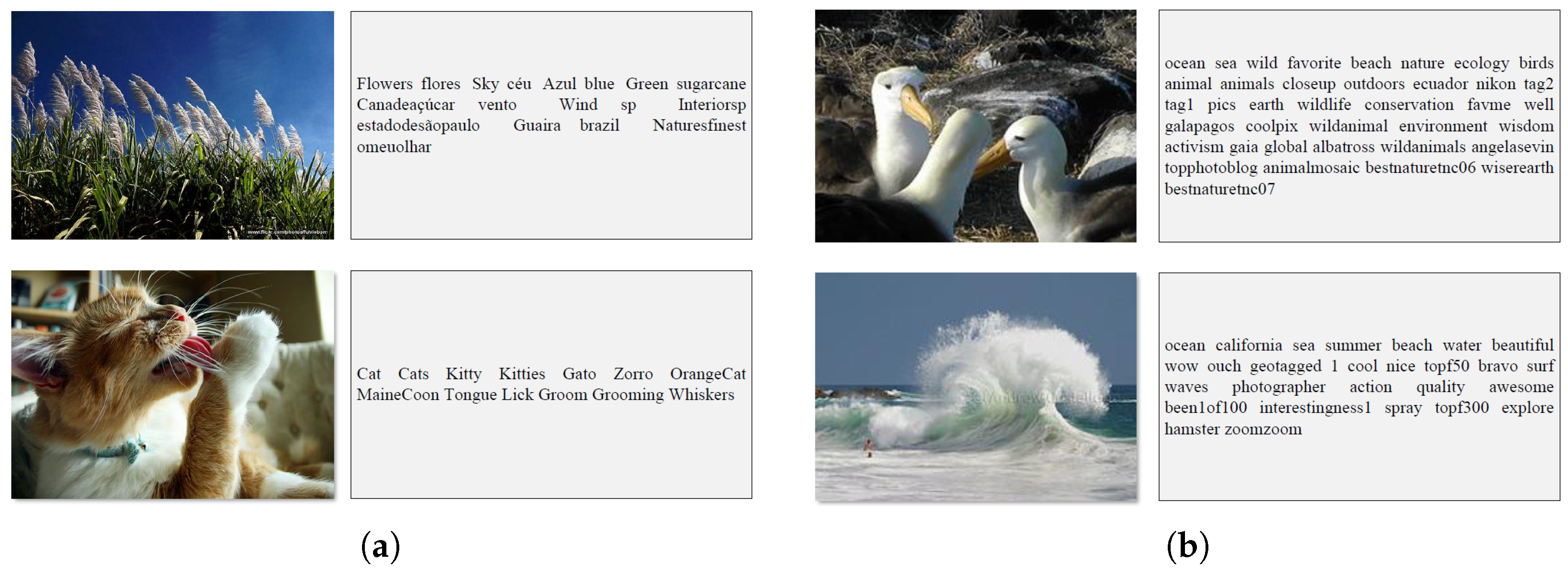 Applsci 14 00870 g004