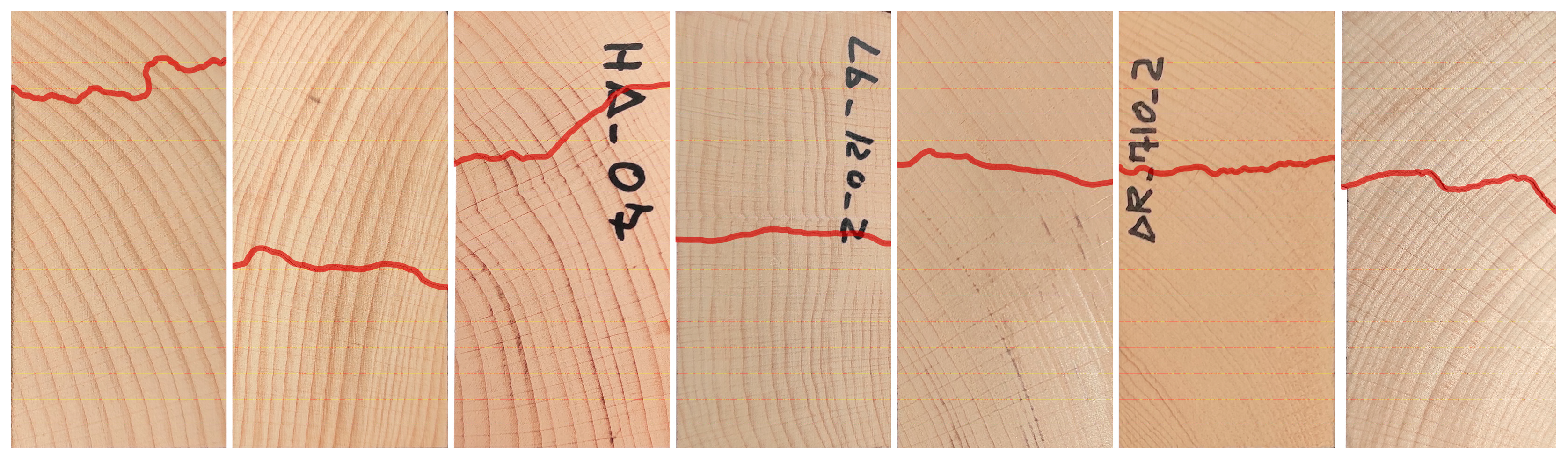 Applsci 14 00900 g009