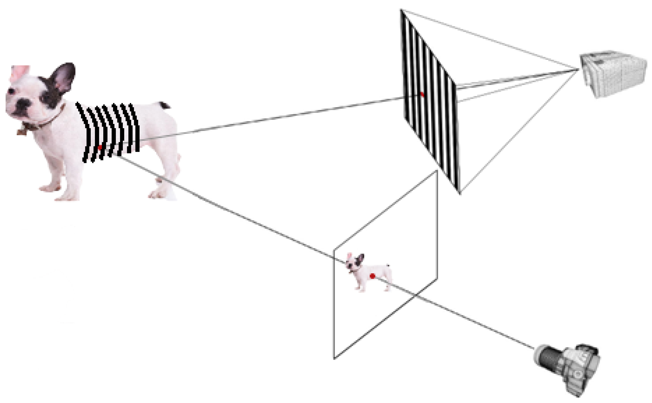 Applsci 14 00903 g005