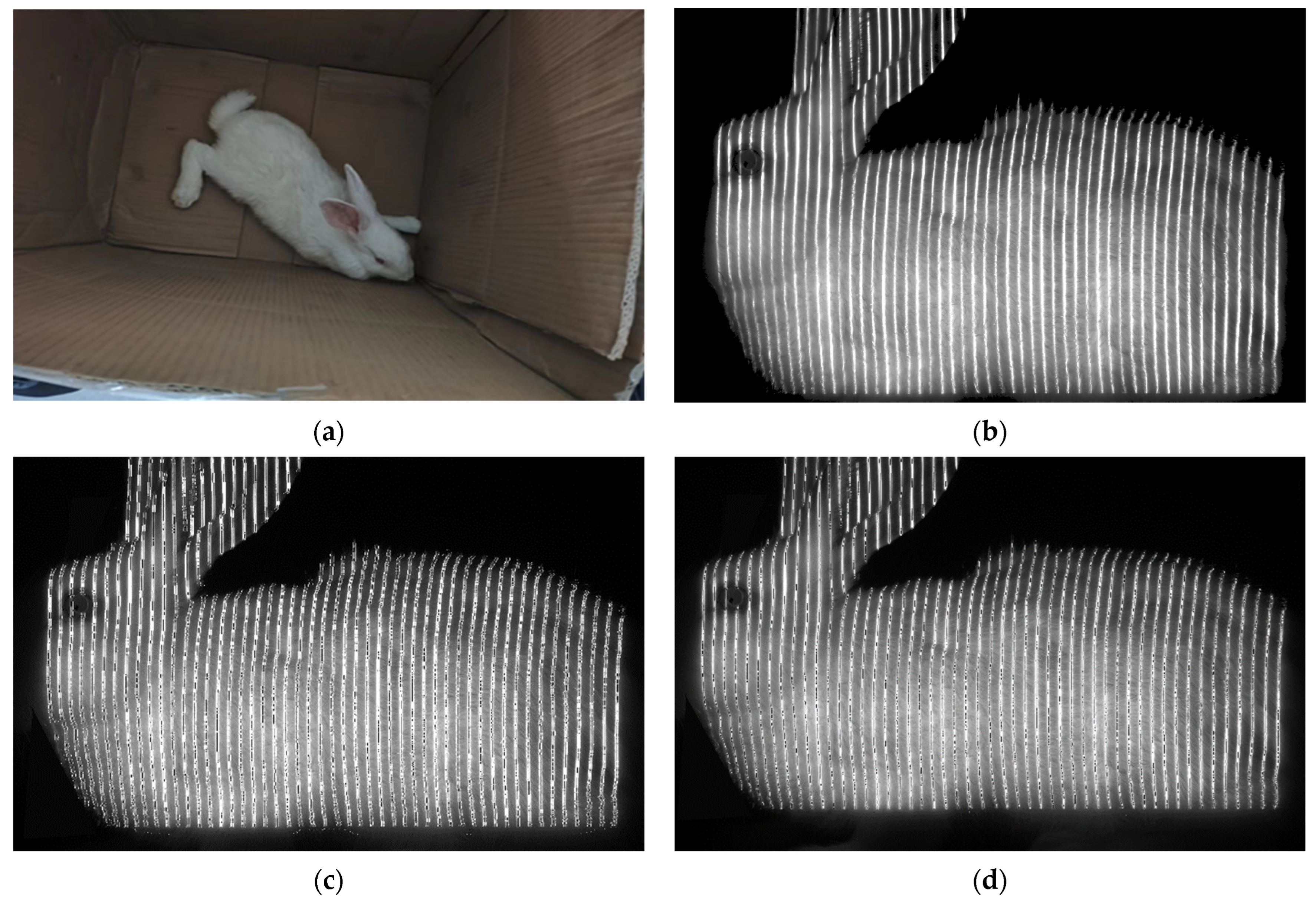 Applsci 14 00903 g009a