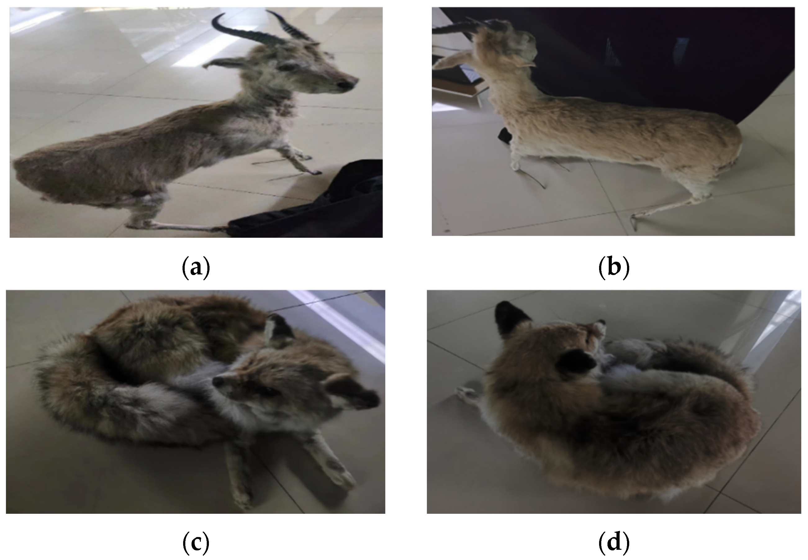 Applsci 14 00903 g010