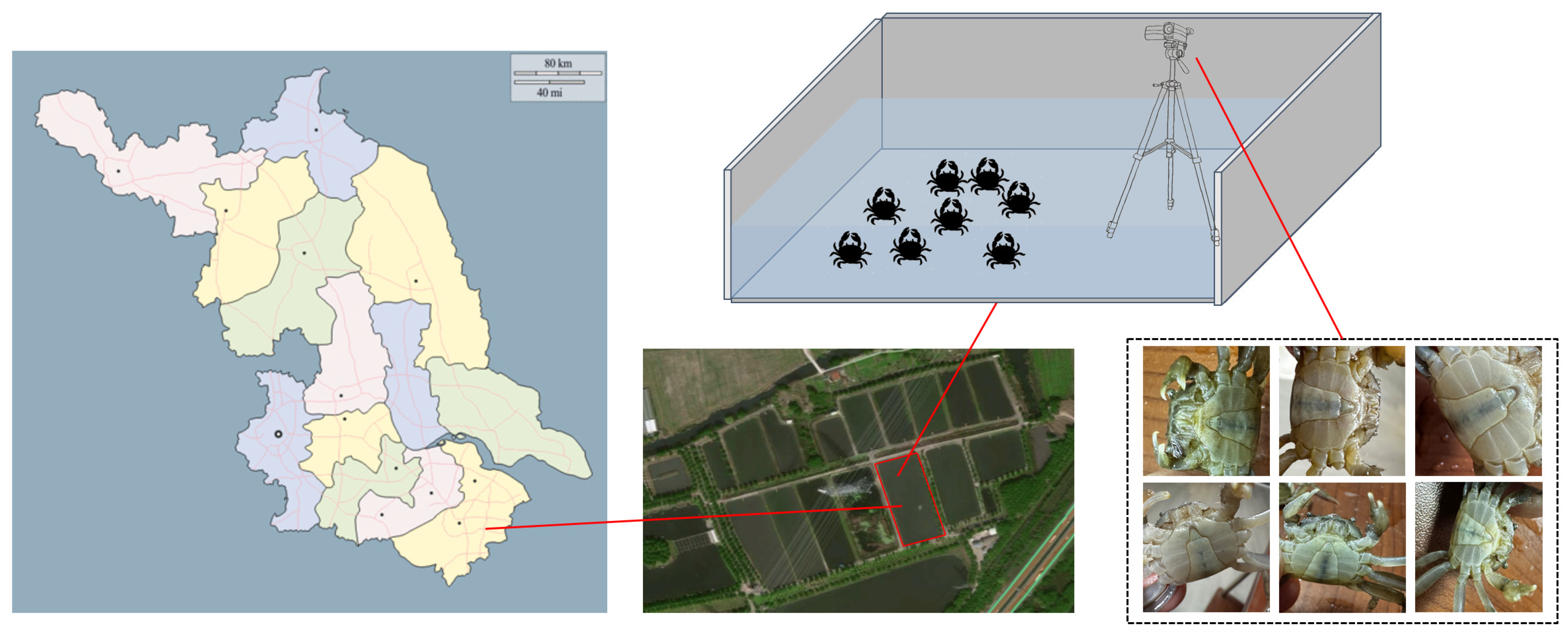 Applsci 14 00908 g001