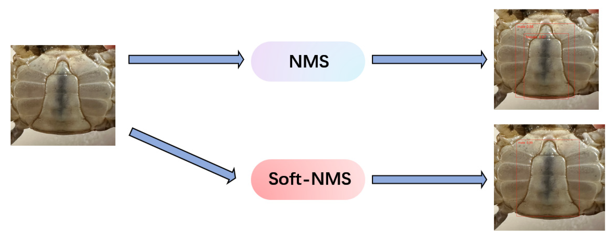 Applsci 14 00908 g007