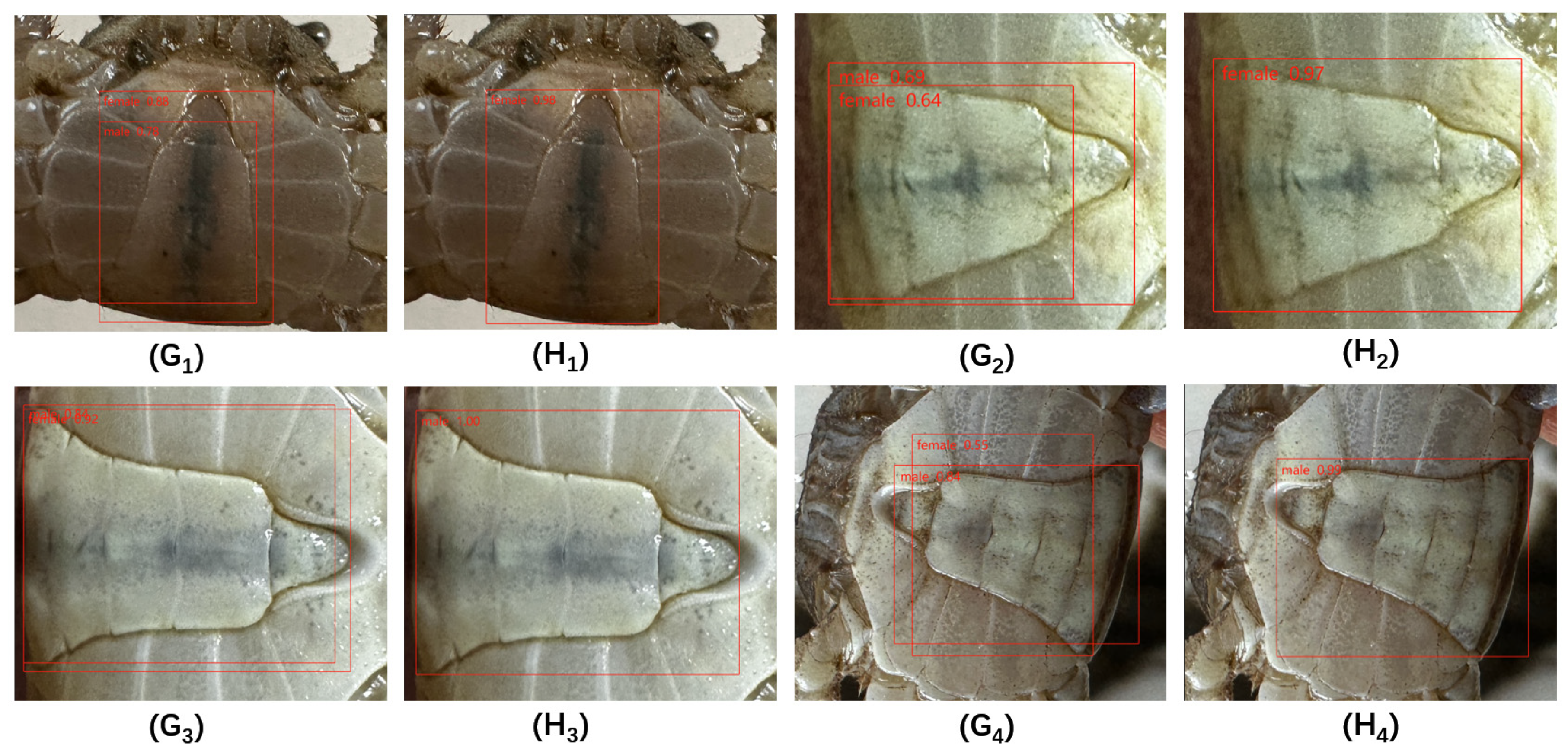 Applsci 14 00908 g012