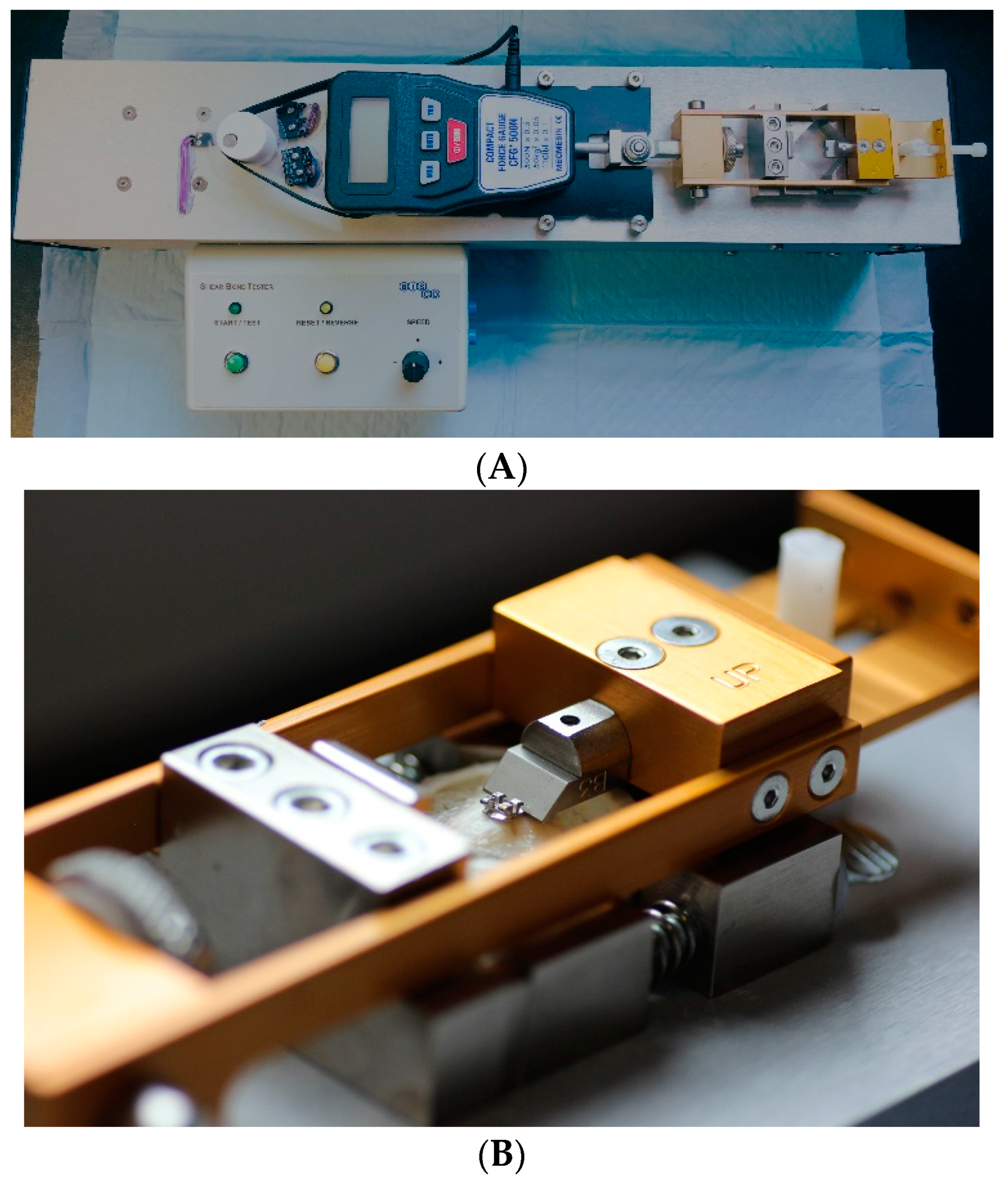 Applsci 14 00924 g002 Applsci 14 00924 g002