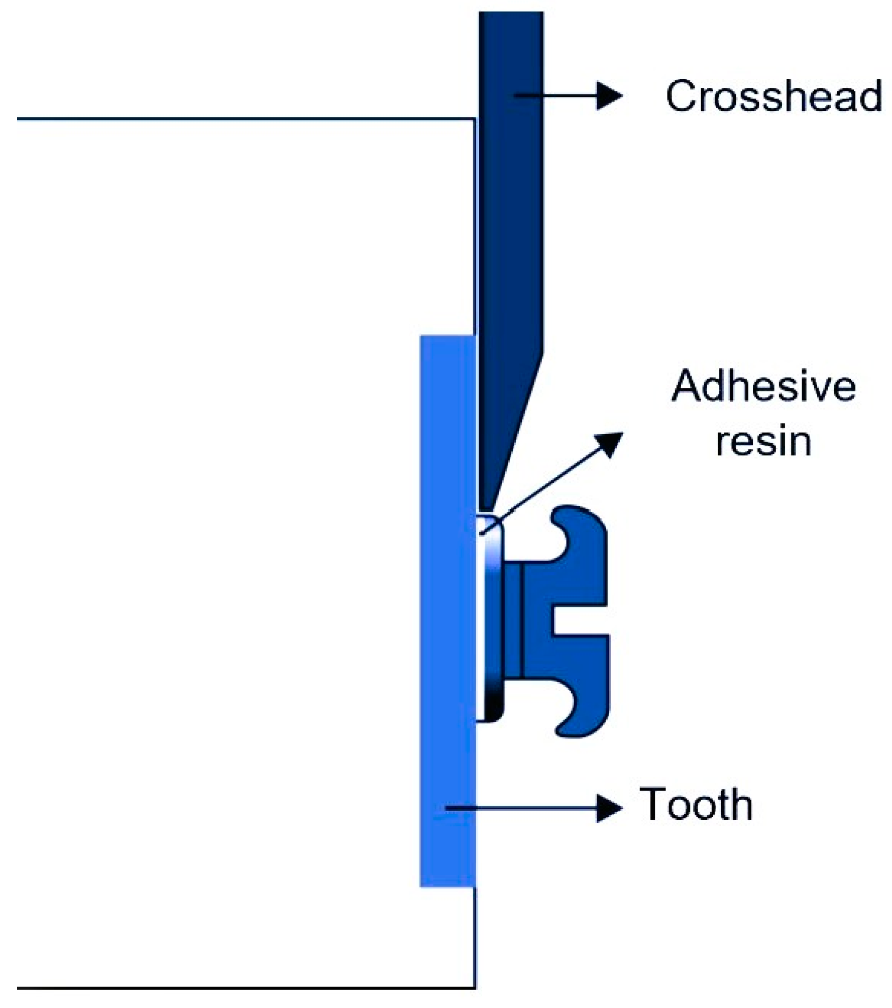 Applsci 14 00924 g003 Applsci 14 00924 g003