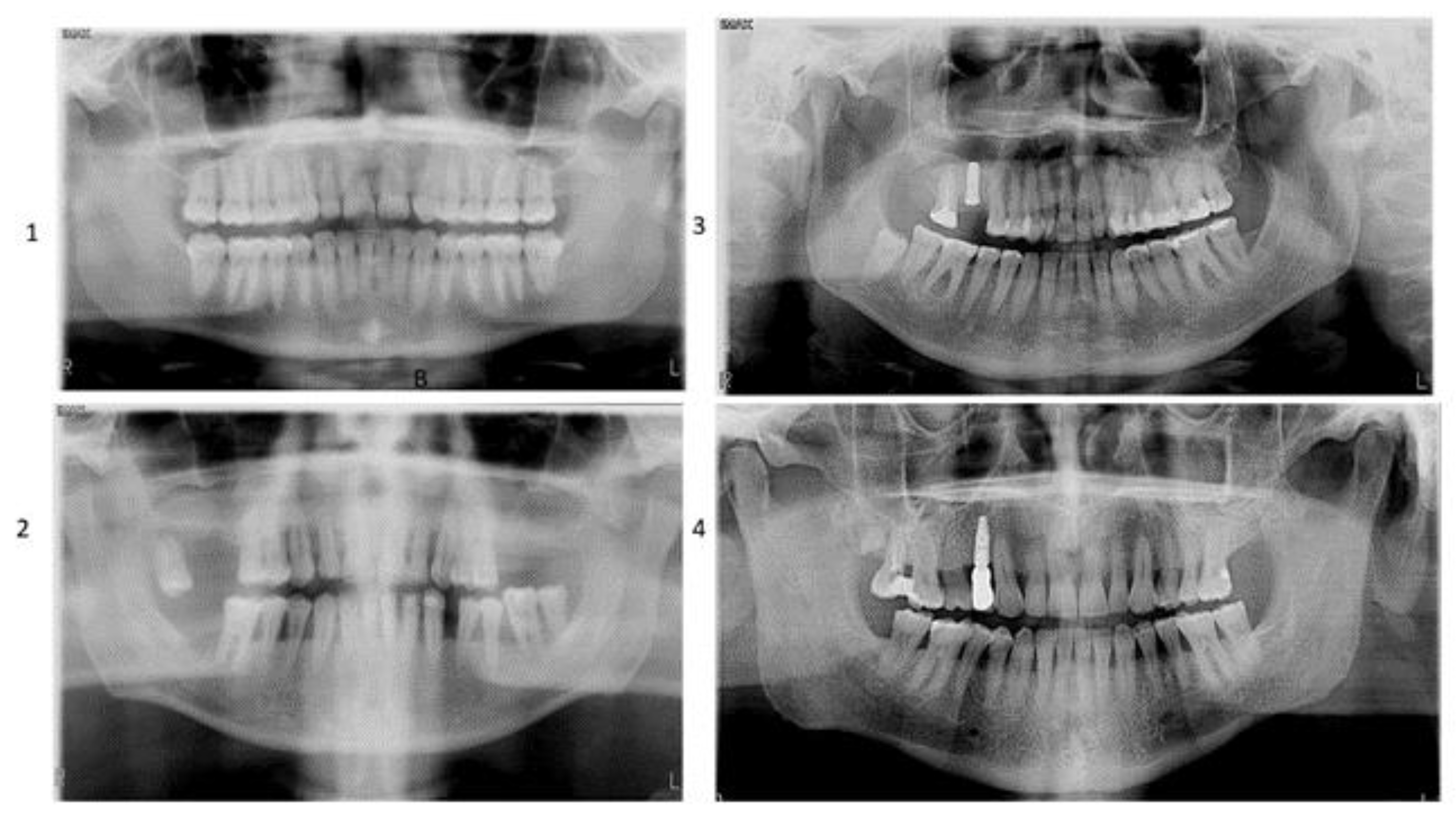 Applsci 14 00927 g002