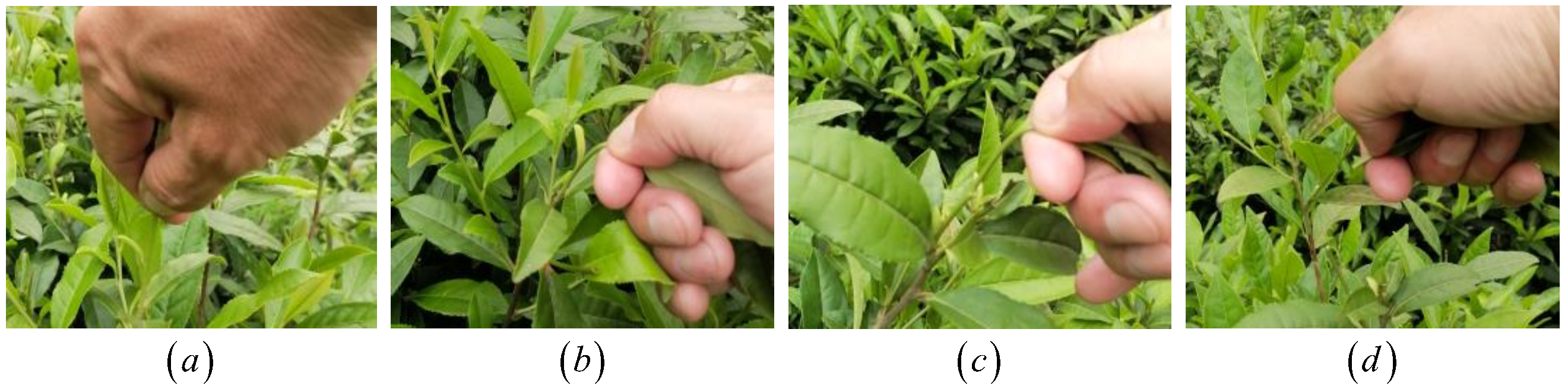 Applsci 14 00928 g001