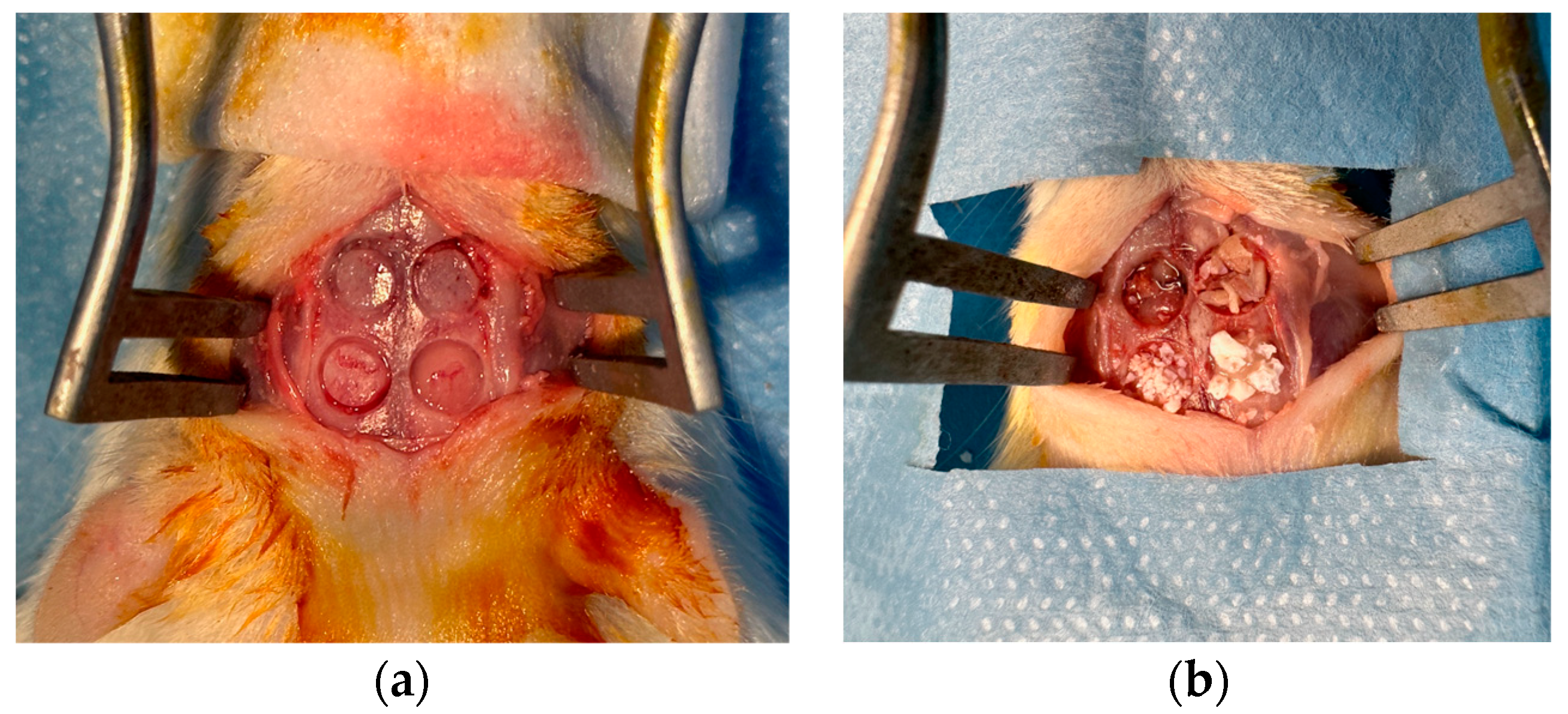 Applsci 14 00939 g002