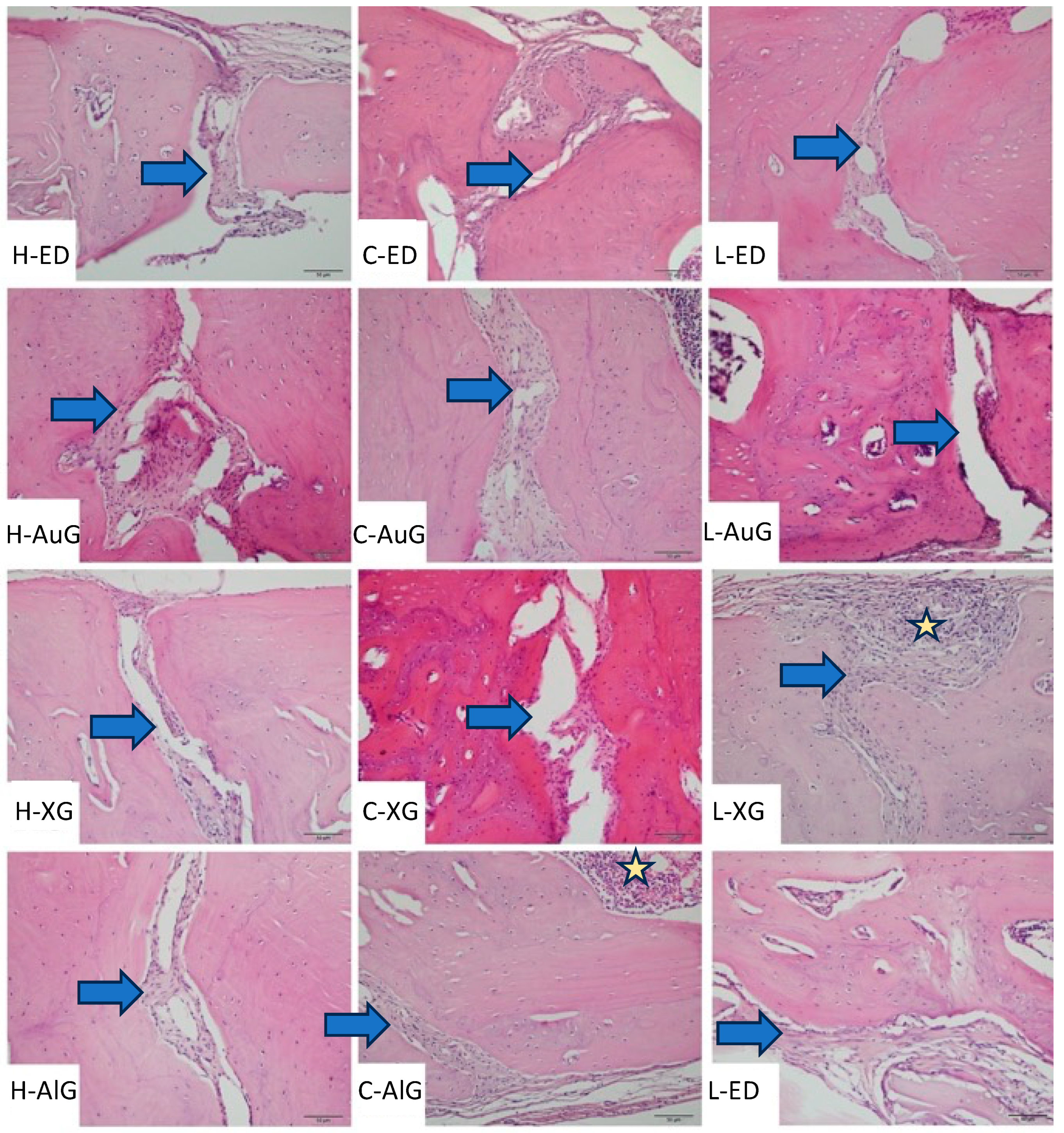 Applsci 14 00939 g003