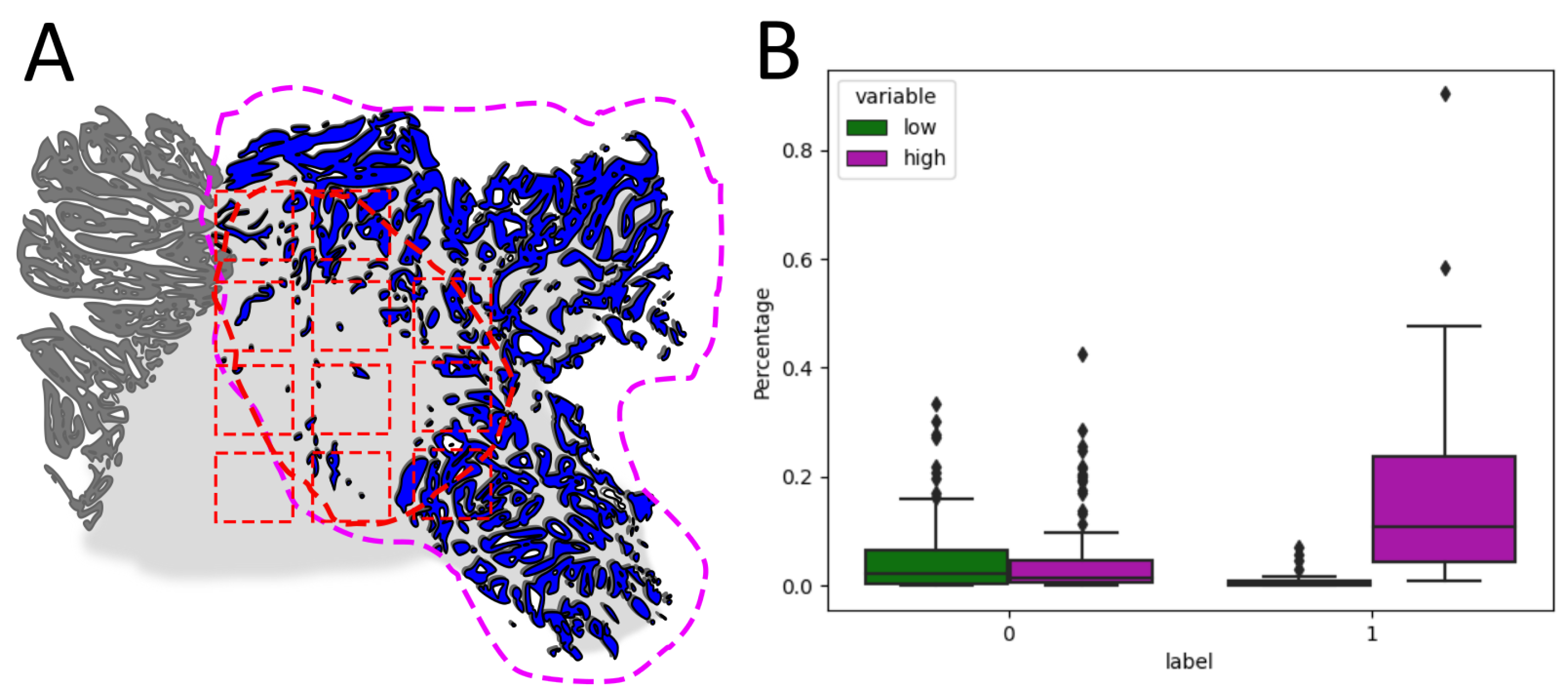Applsci 14 00949 g001 Applsci 14 00949 g001
