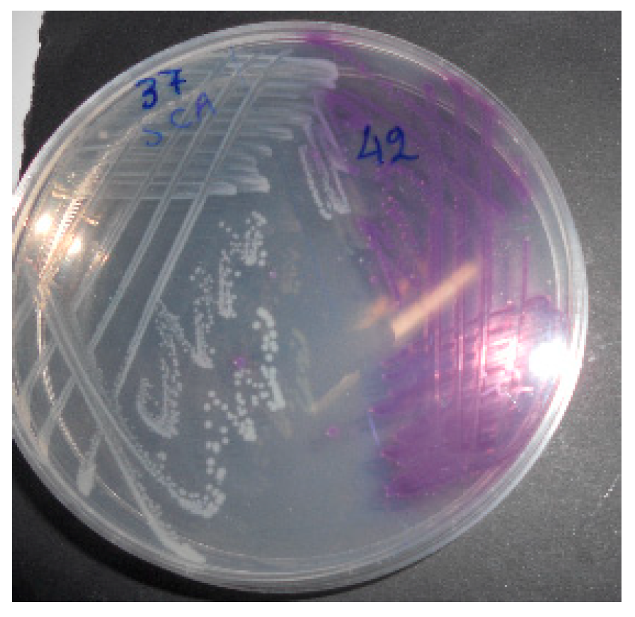 Applsci 14 00953 g001